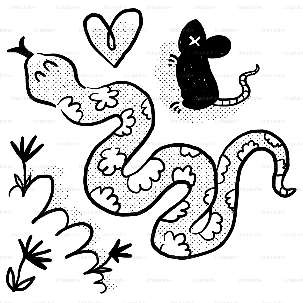 Un dibujo en blanco y negro de una serpiente