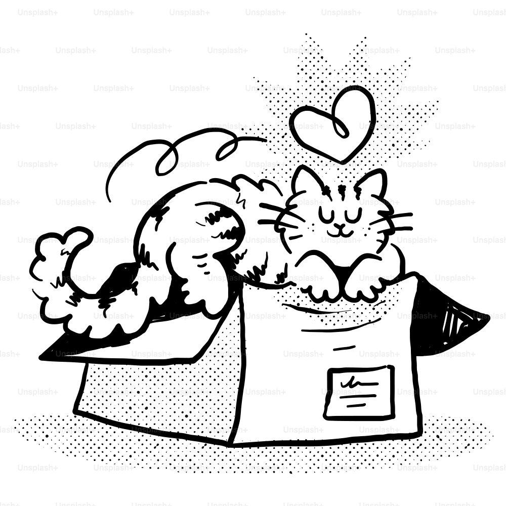 A black and white drawing of a cat in a box