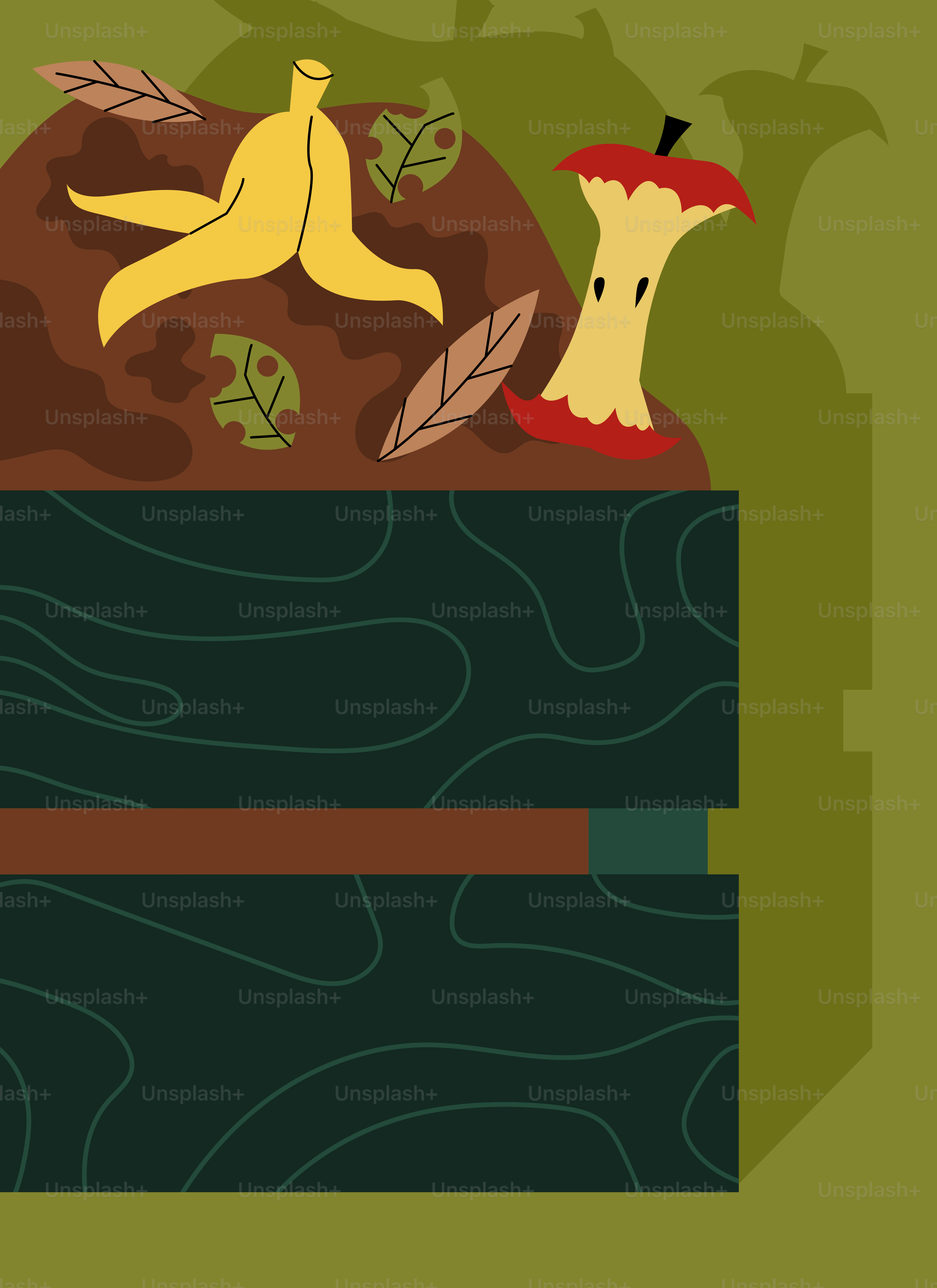 An apple and banana split in half on a green background