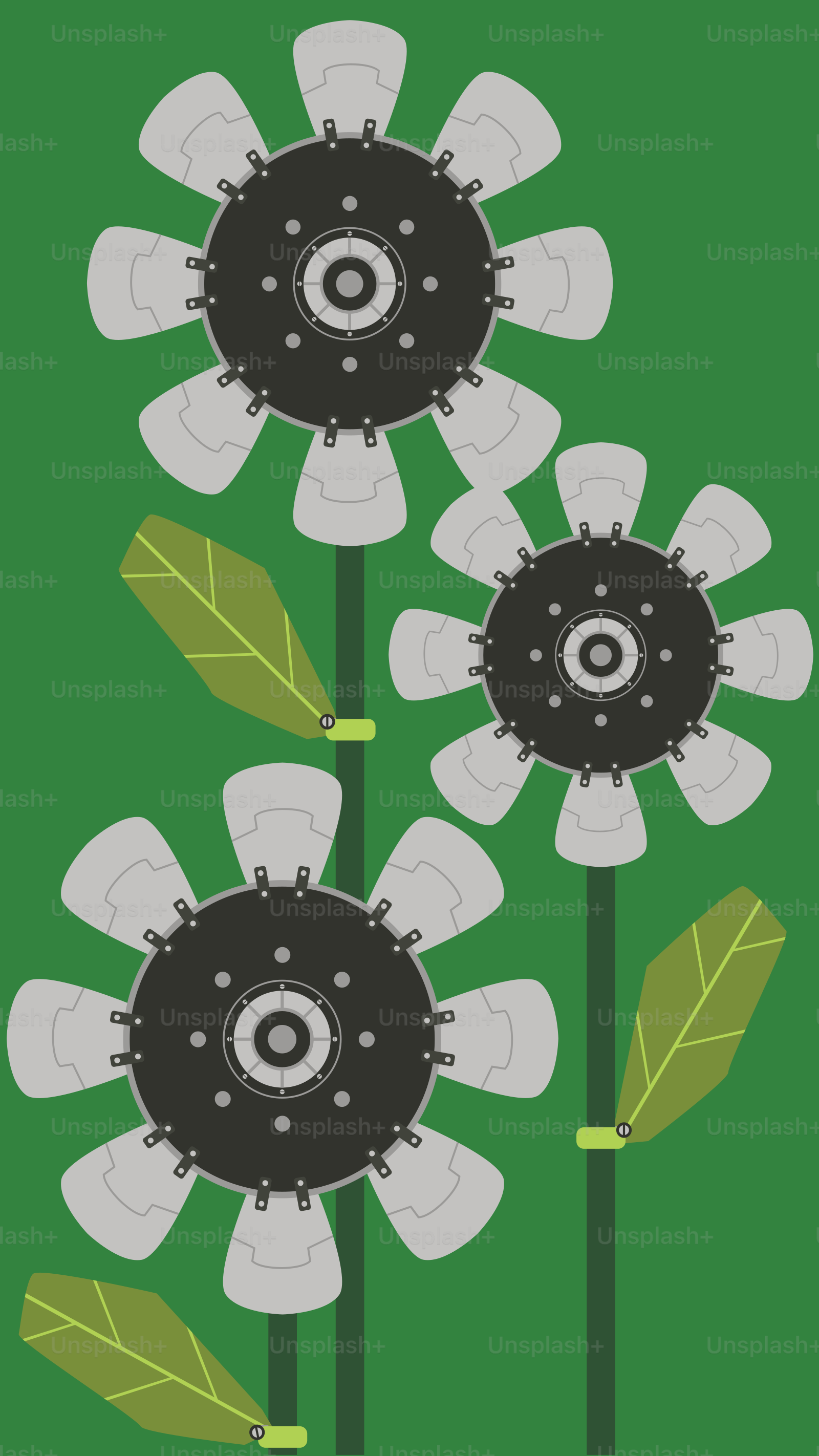 A picture of three flowers with green leaves