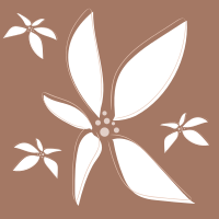 A white flower on a brown background