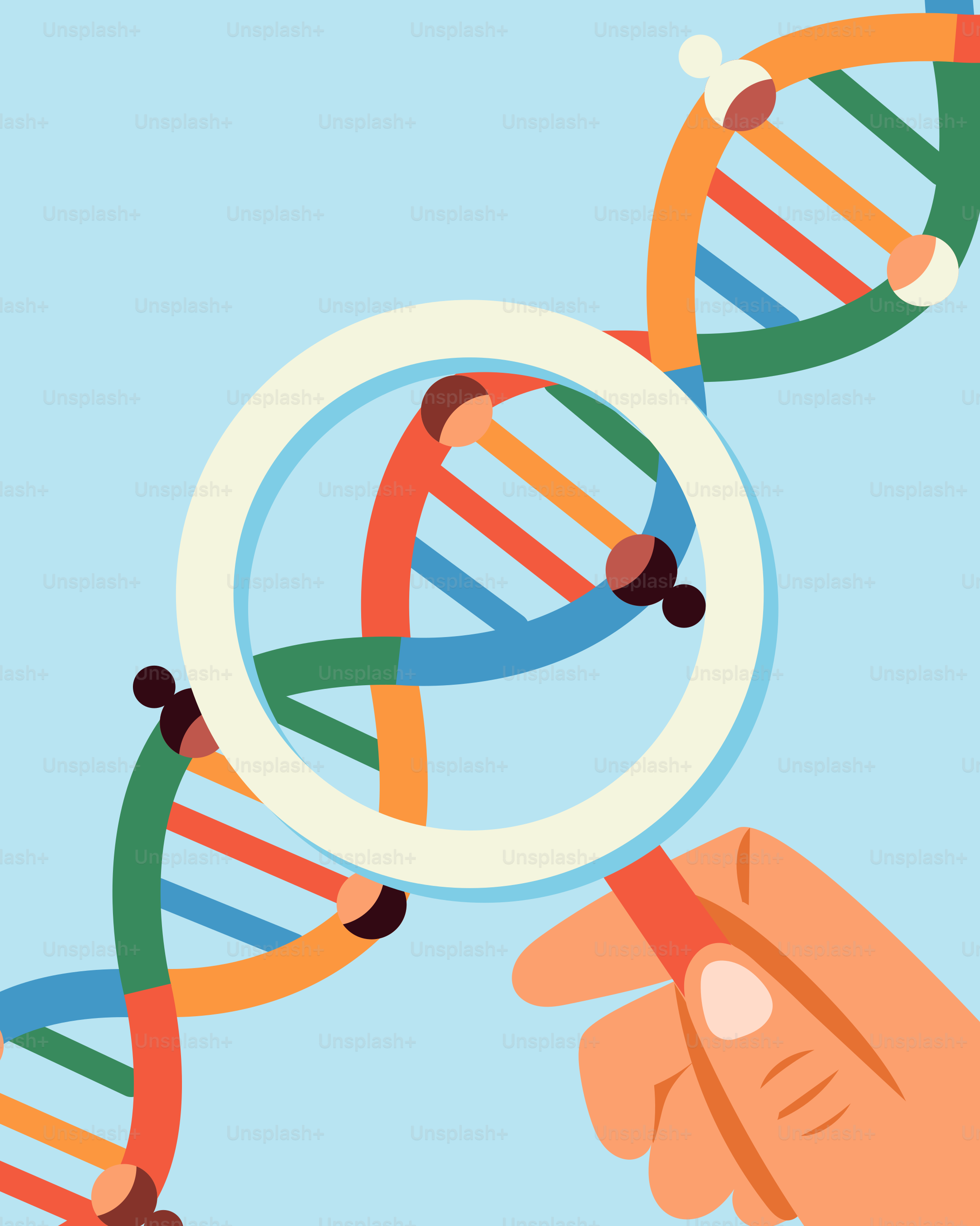 Eine Hand, die eine Lupe mit einem doppelten Strang farbiger Stränge hält