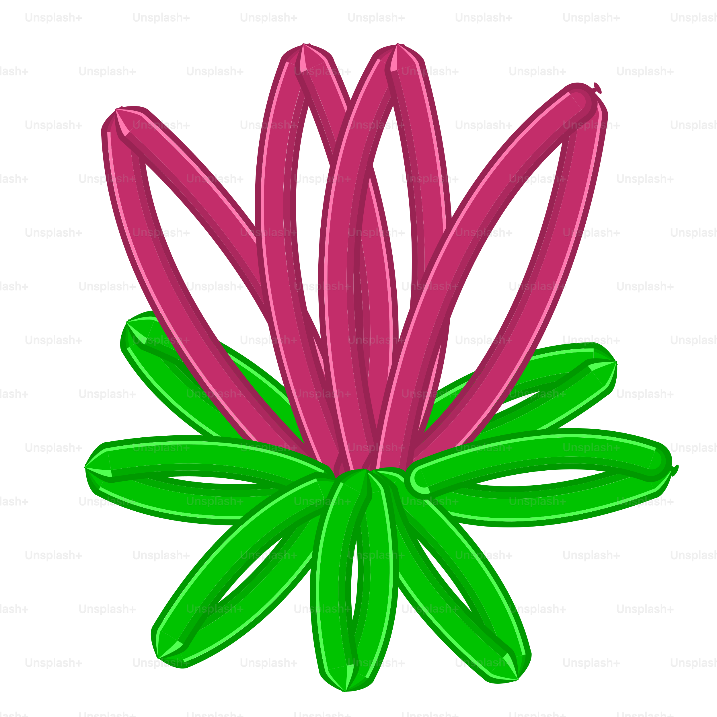 A pink flower with green leaves on a white background