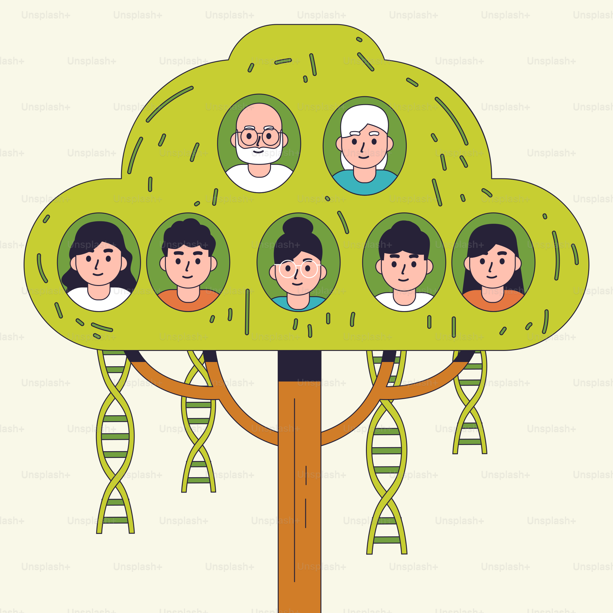 A family tree with a bunch of people on it