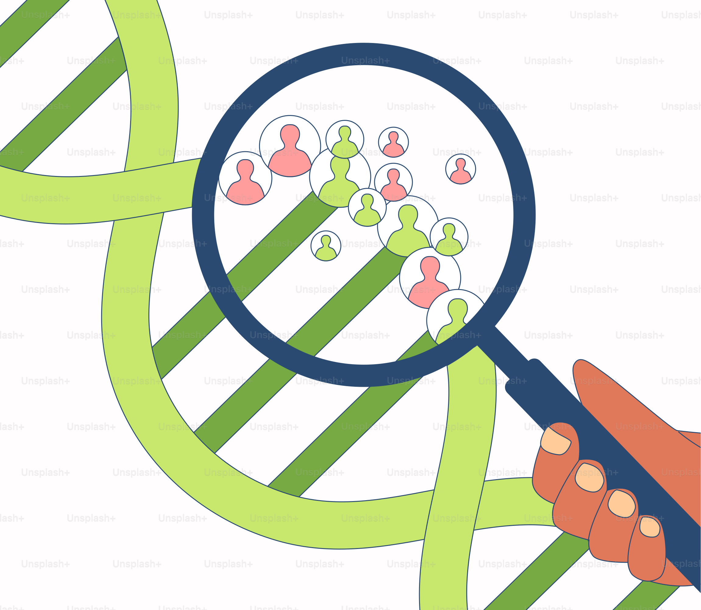 Eine Hand, die eine Lupe über einen Doppelstrang aus Grün und Weiß hält