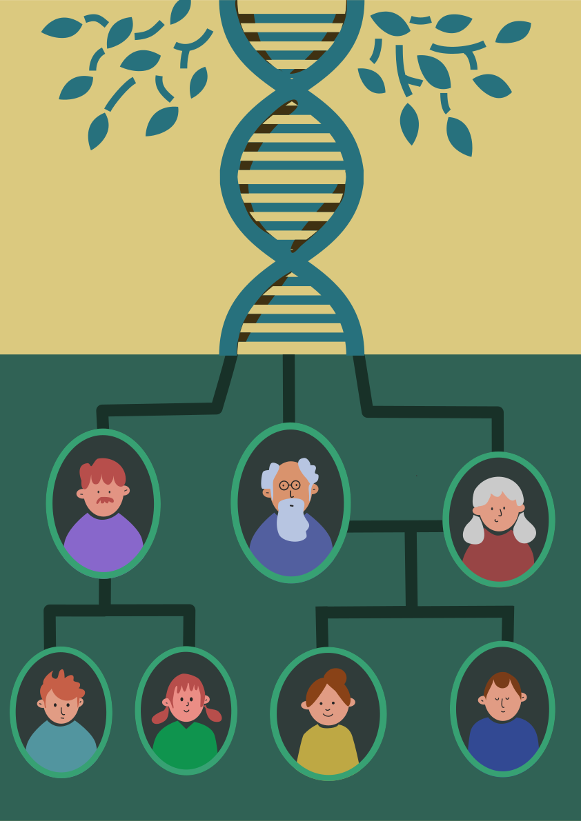 Ein Stammbaum mit vielen Menschen darin