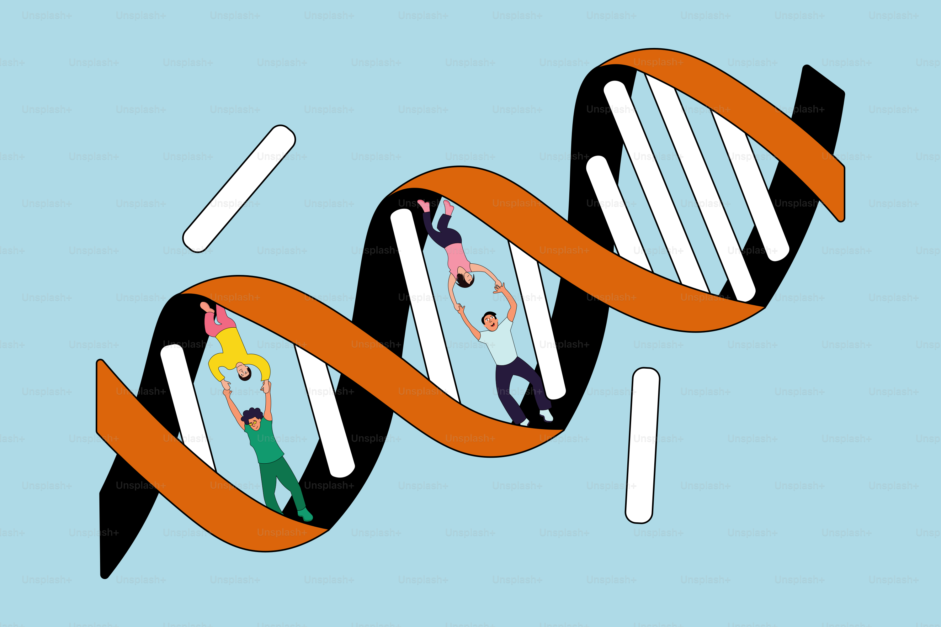 Eine Zeichnung eines doppelten Strangs aus orangen und schwarzen Strähnen