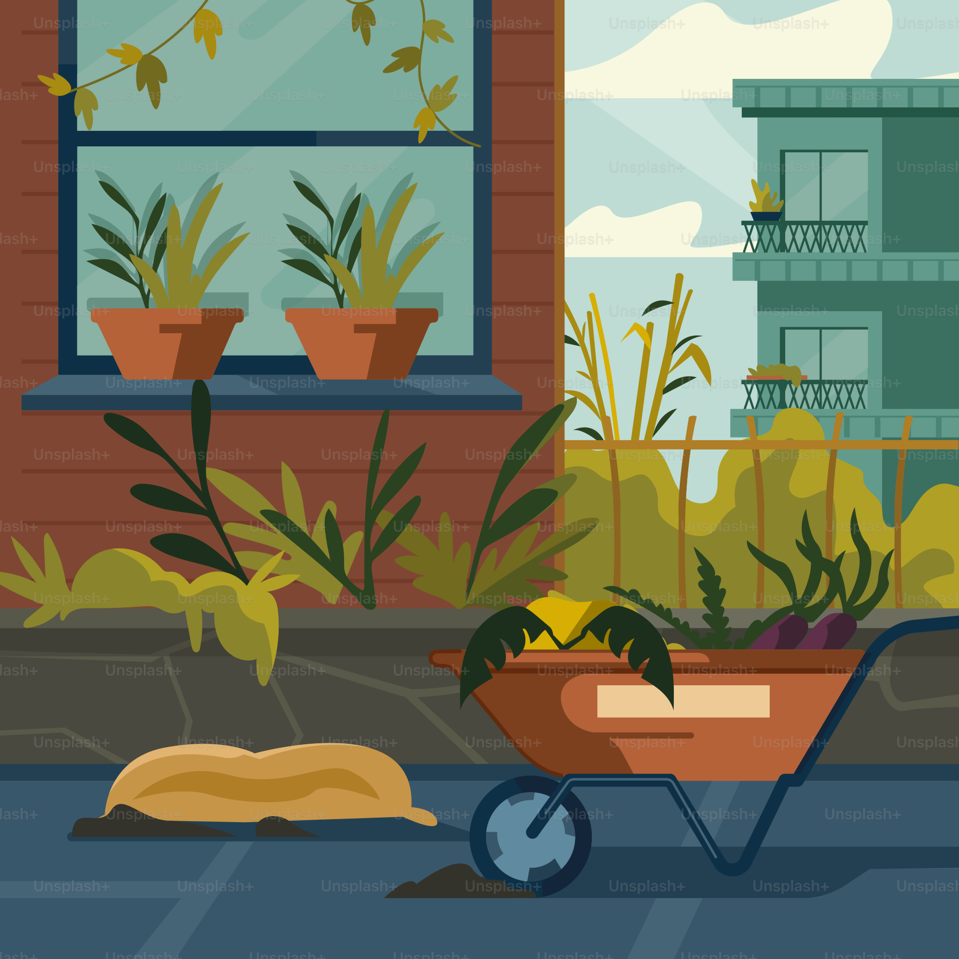A wheelbarrow filled with plants in front of a window