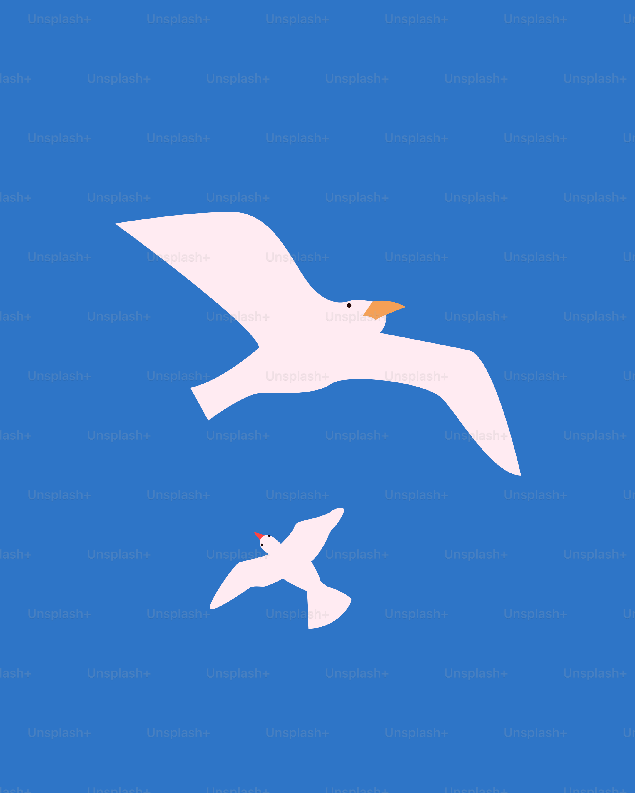 A white bird flying through a blue sky
