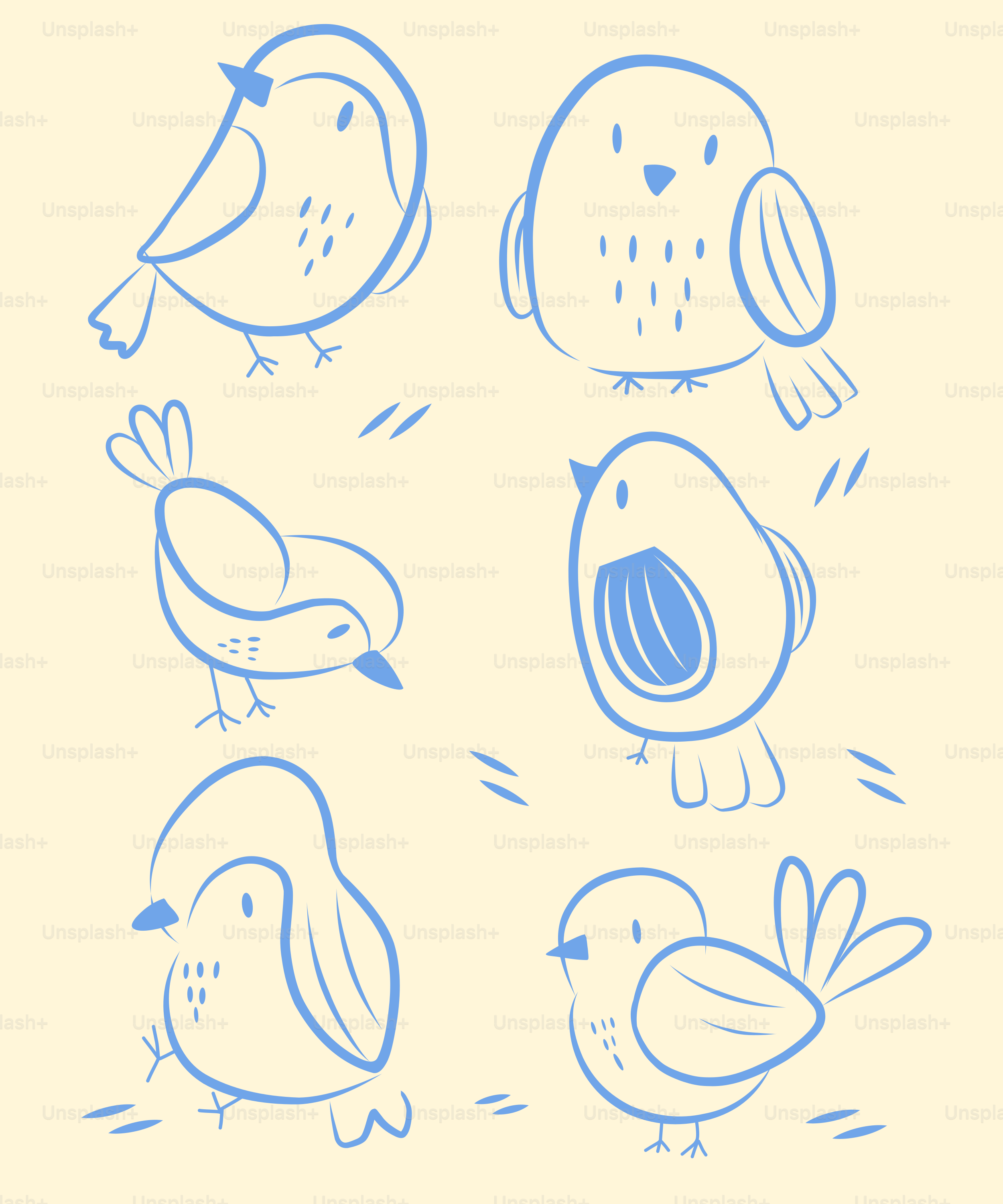 Un groupe d'oiseaux dessinés sur une feuille de papier vectoriel – Image de  Animaux sur Unsplash, image size:3000x3600