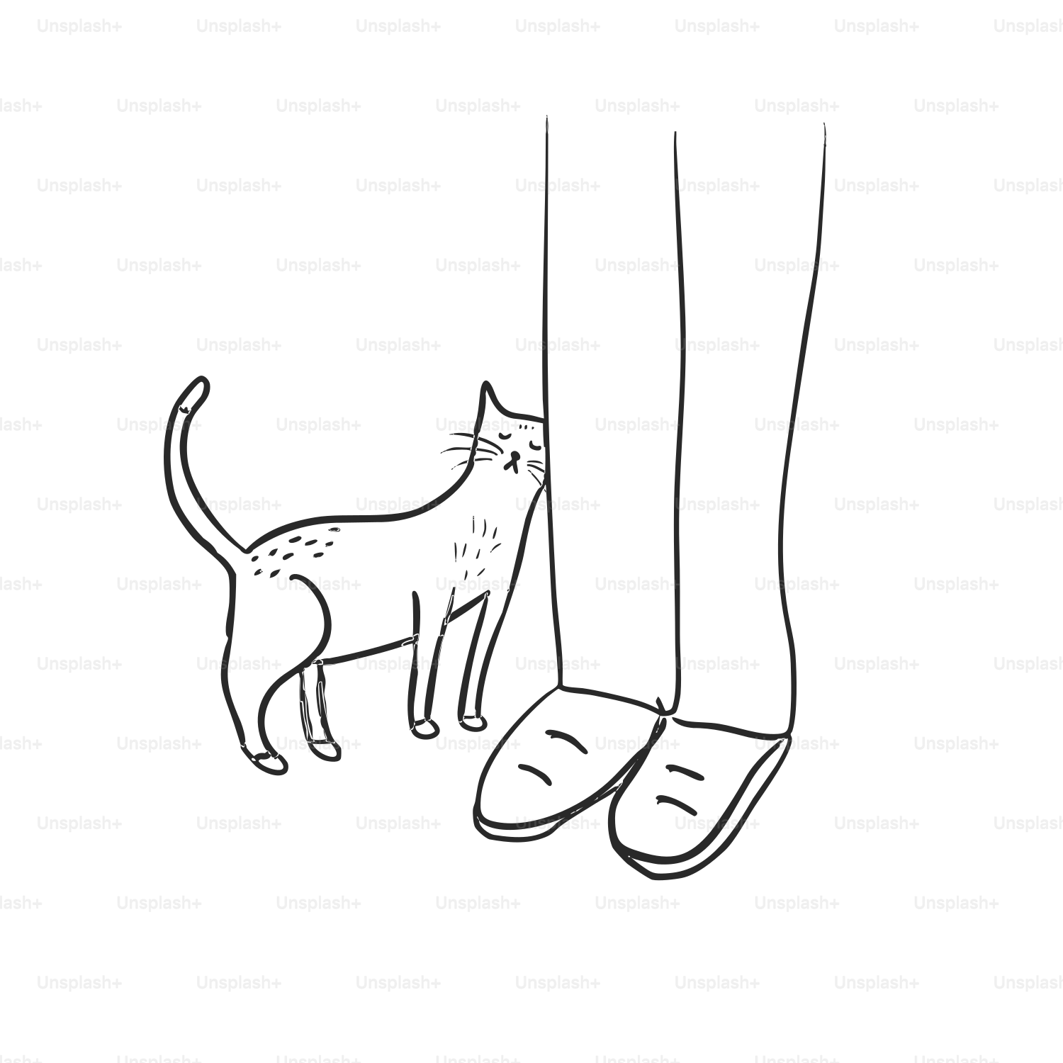 Eine schwarz-weiße Zeichnung einer Katze, die neben einem Paar Schuhe steht  Vektor – Bild zum Thema Katze auf Unsplash, image size:3000x3000