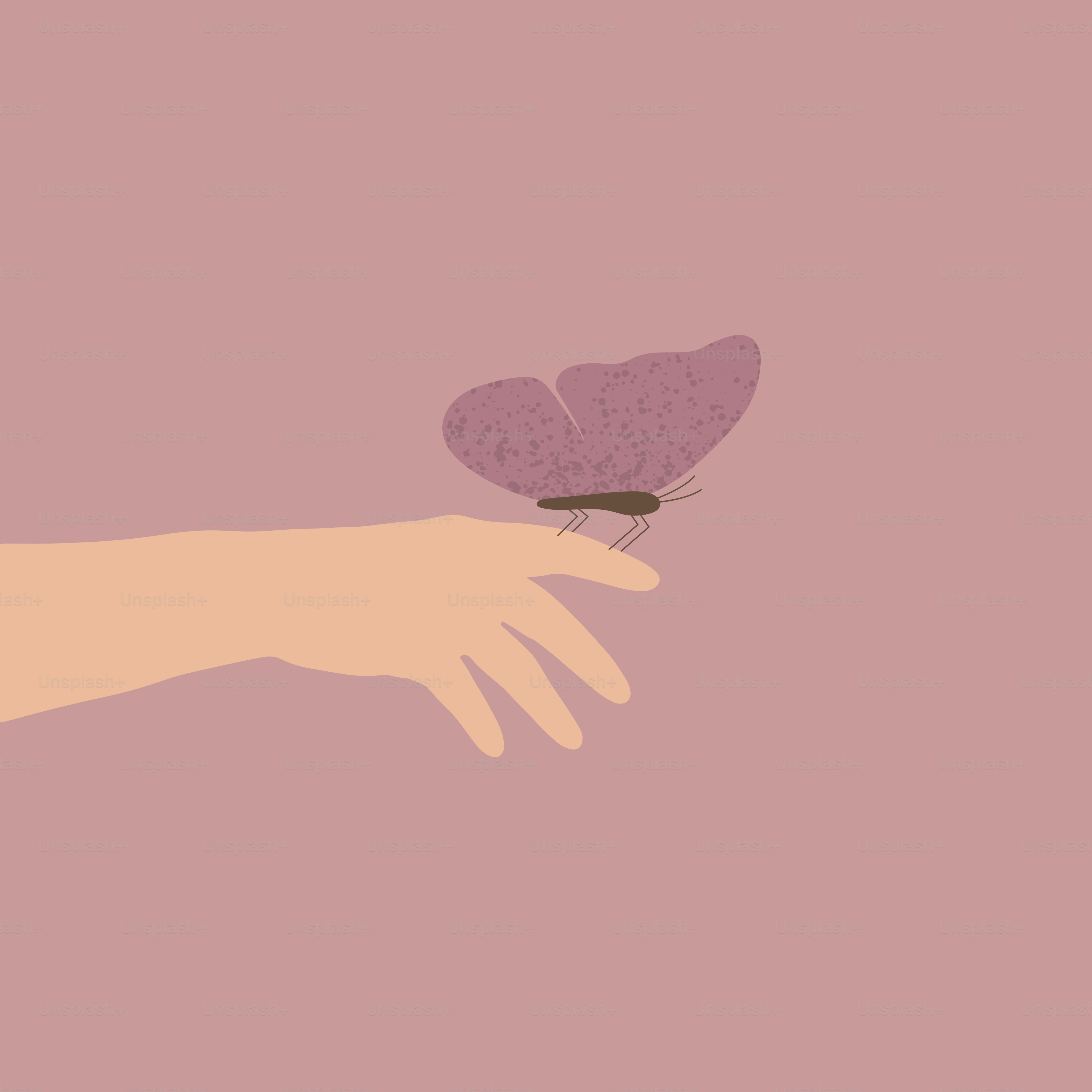 A hand holding a purple butterfly on a pink background