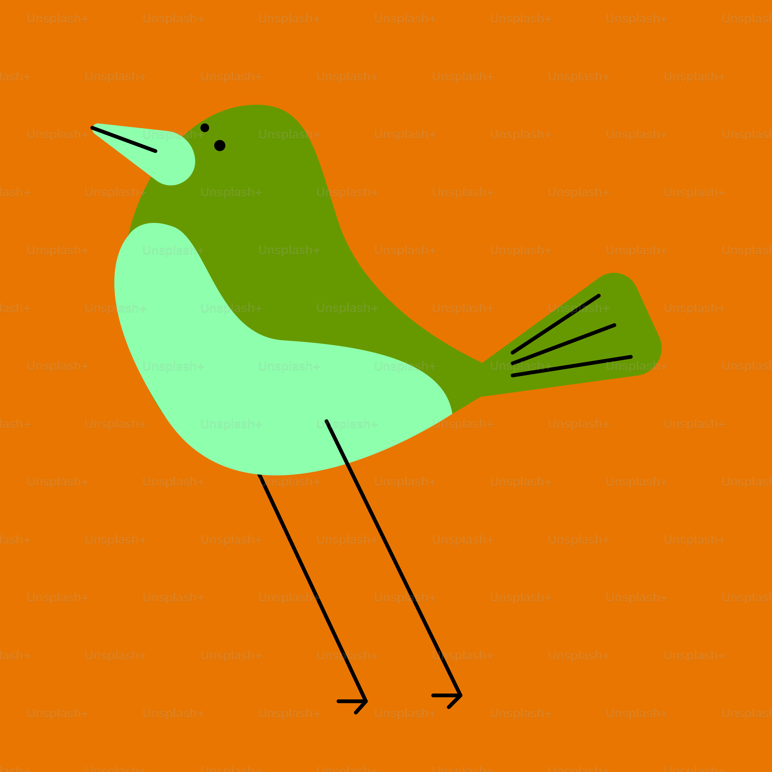 A green bird sitting on top of an orange background