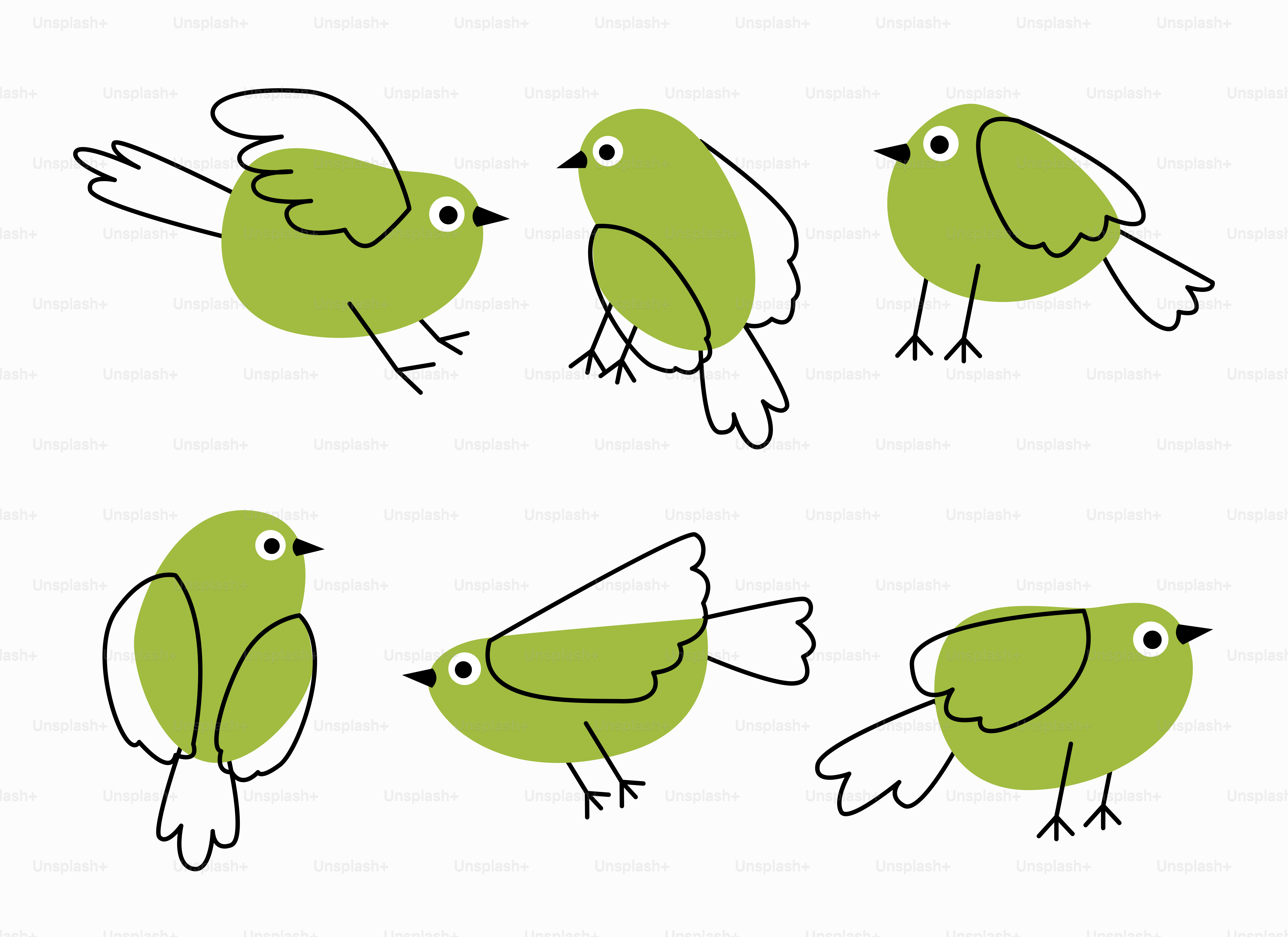 Un dessin d’un oiseau vert avec des ailes