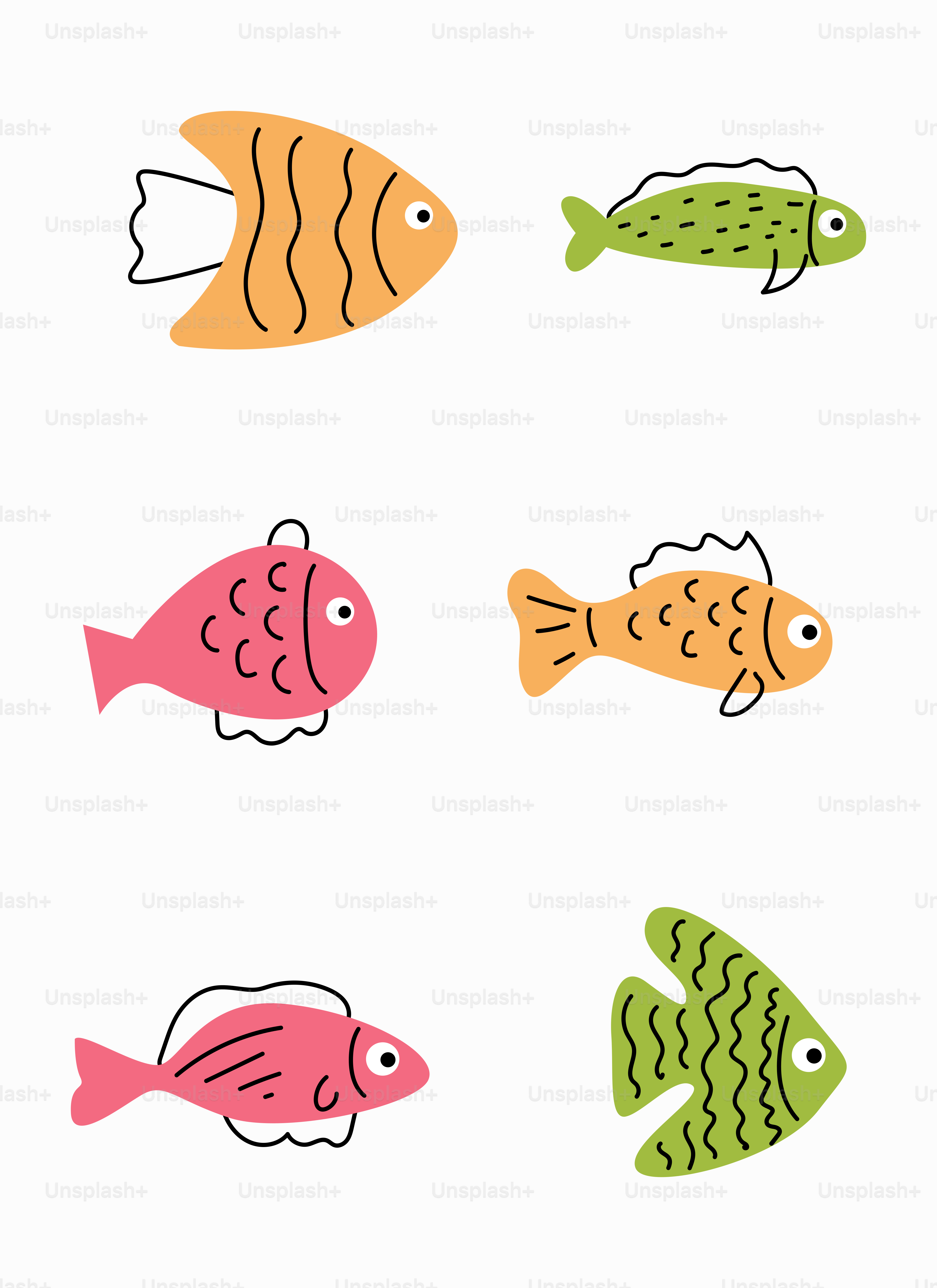 A group of different colored fish on a white background