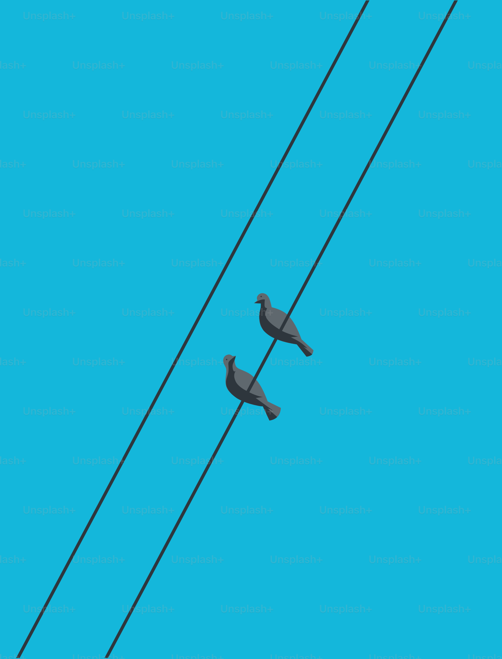 Two birds sitting on top of a power line