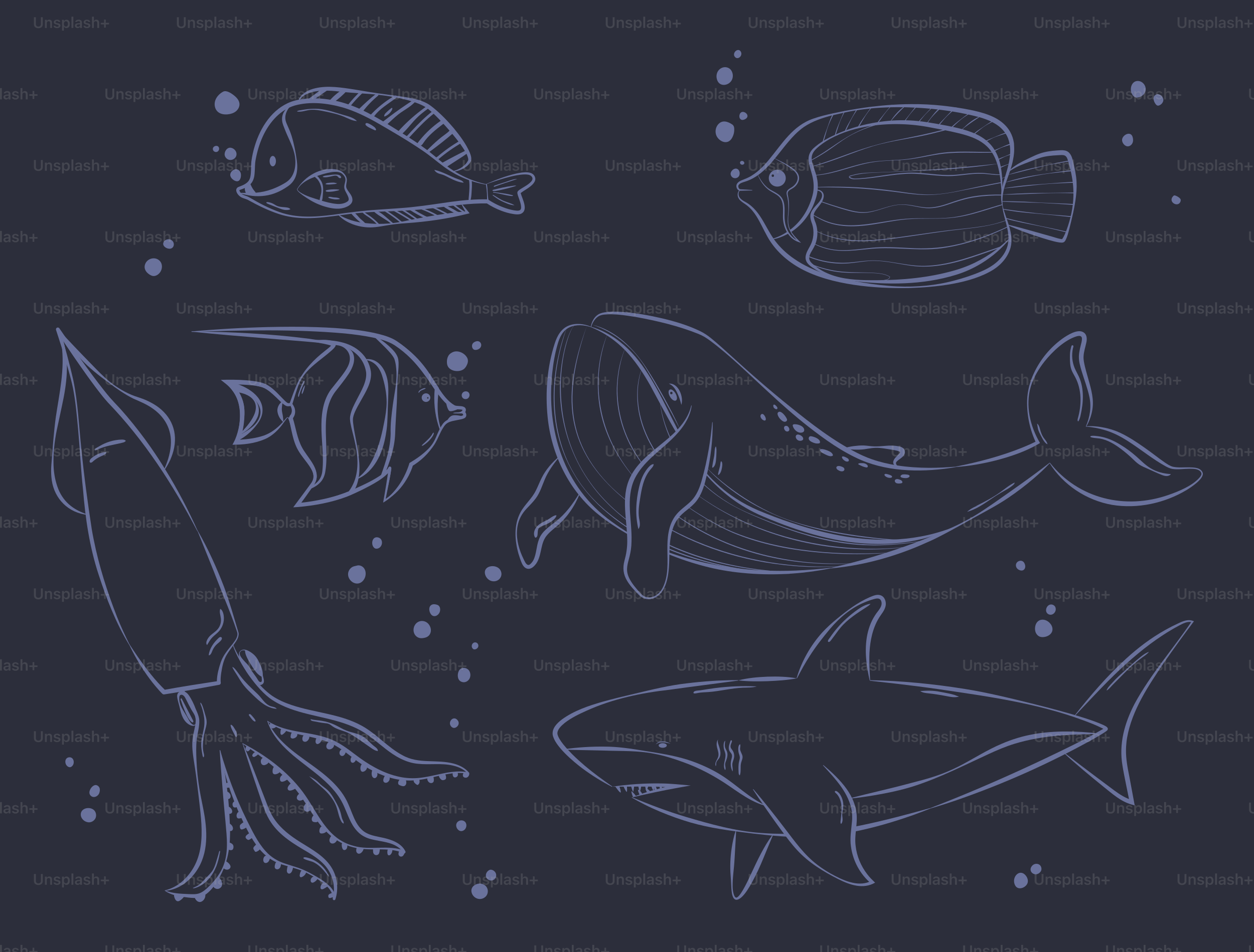 A drawing of different types of fish on a dark background
