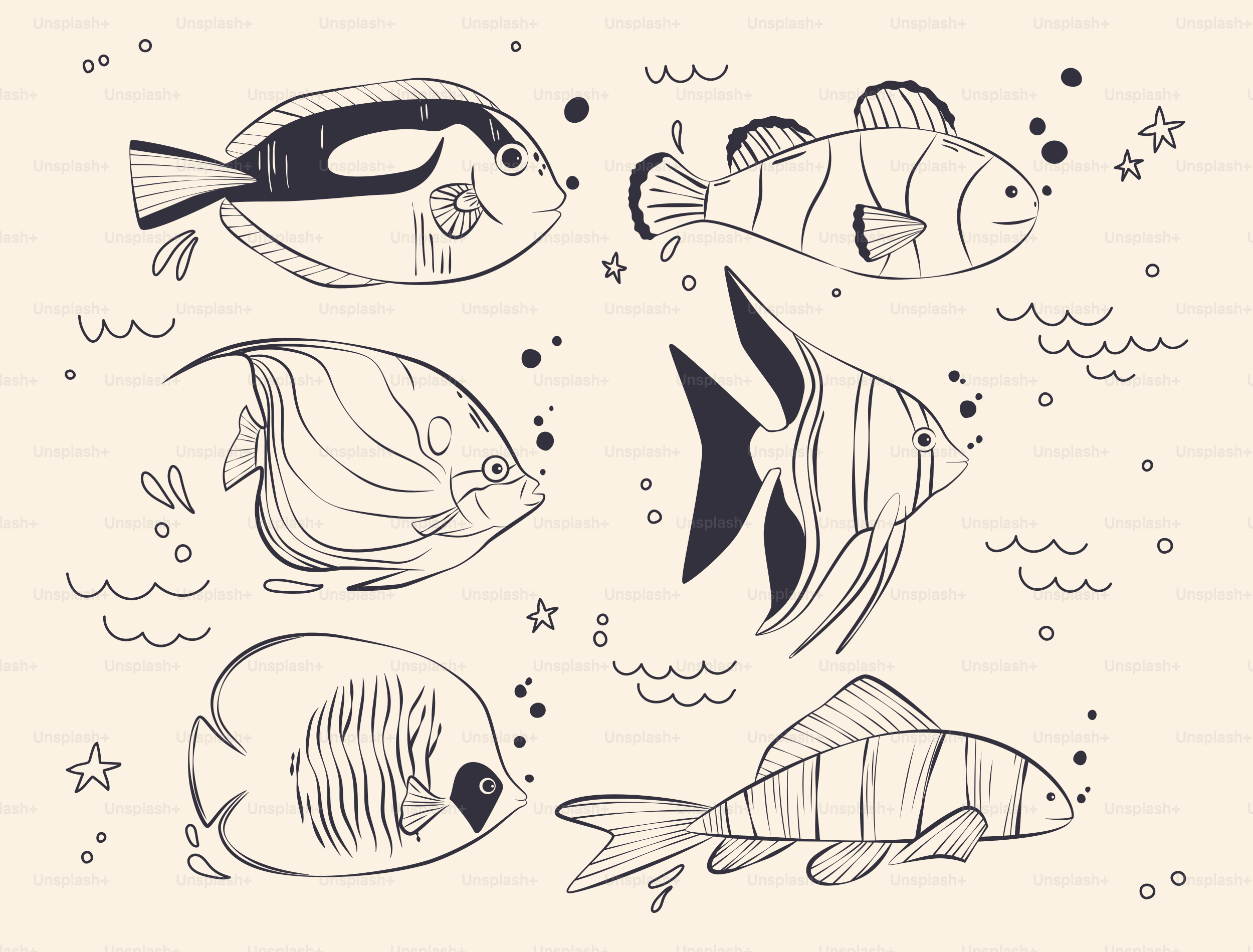 Um desenho de um grupo de peixes nadando no oceano vetor – Imagem sobre  Animal na Unsplash, image size:3000x2280