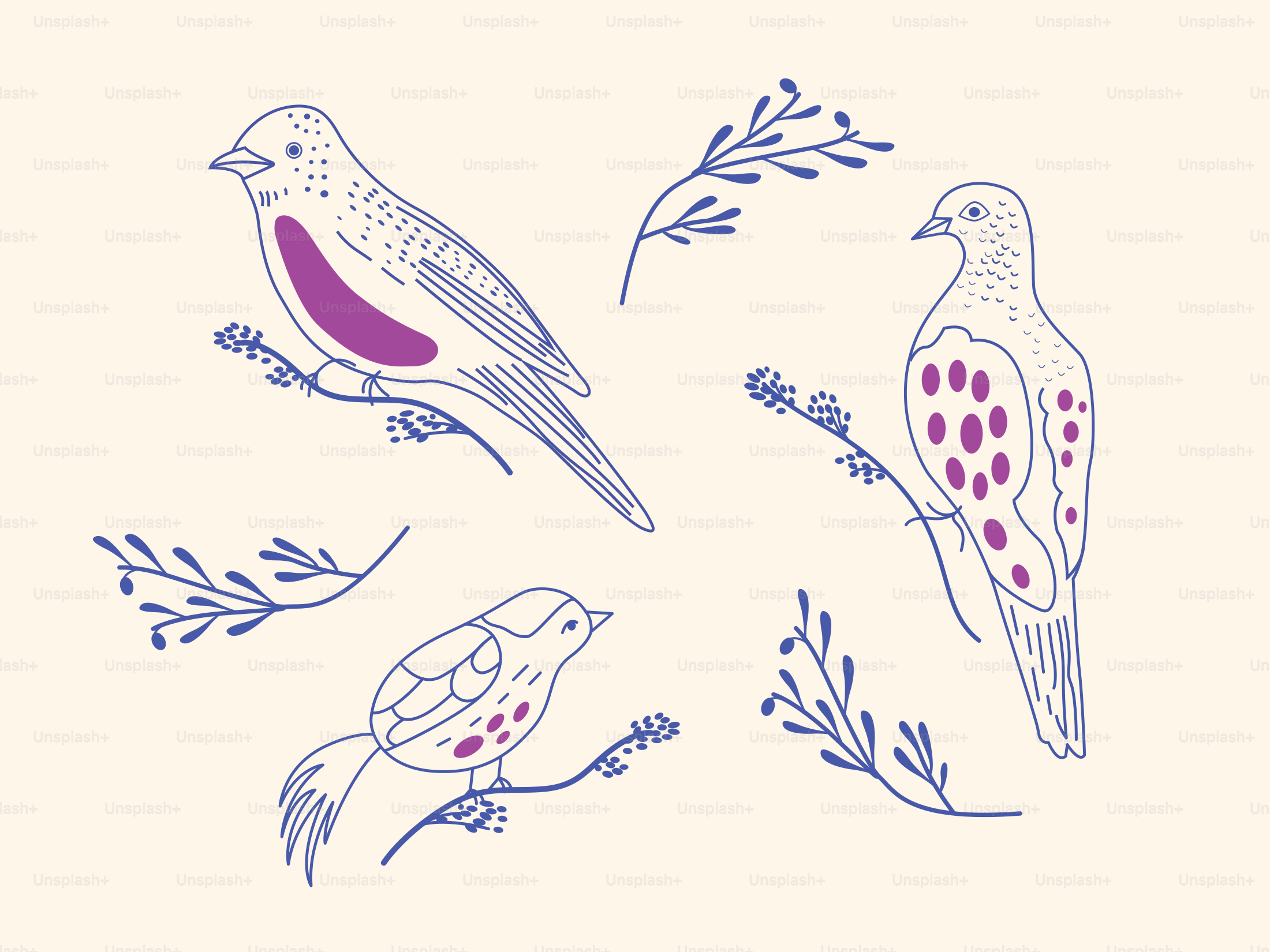 A picture of birds on a white background