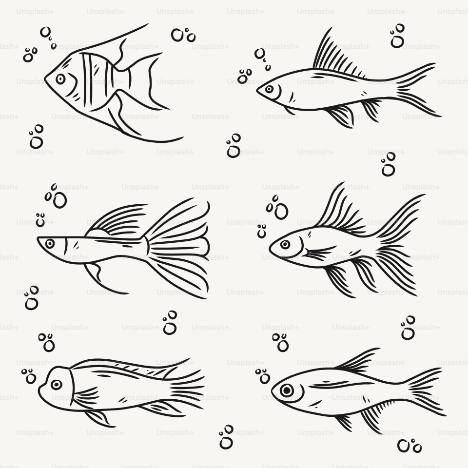 A group of fish swimming in the water