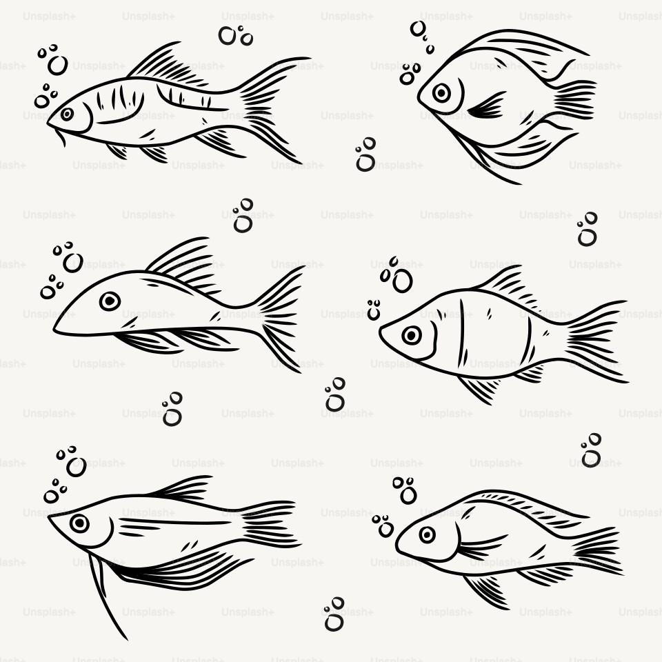 Un dessin de différents types de poissons