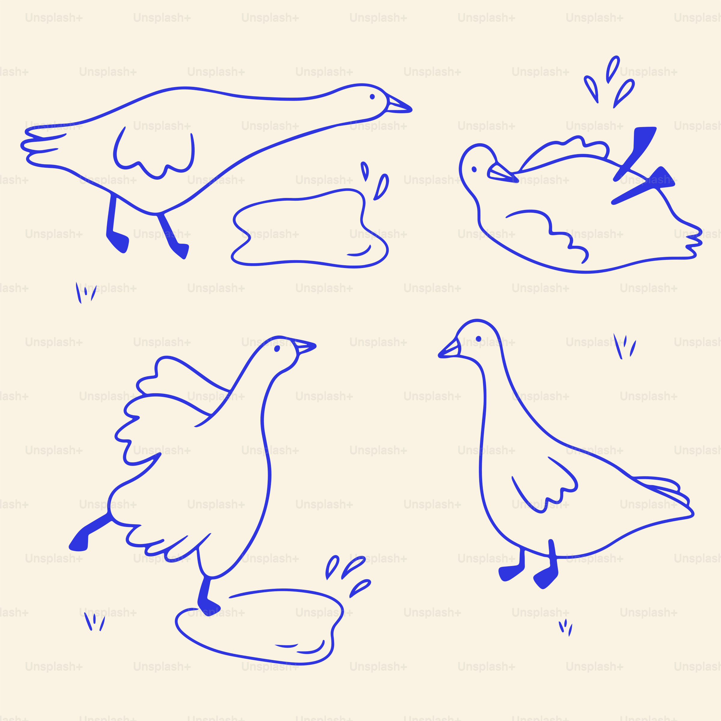 A drawing of a group of birds in a circle