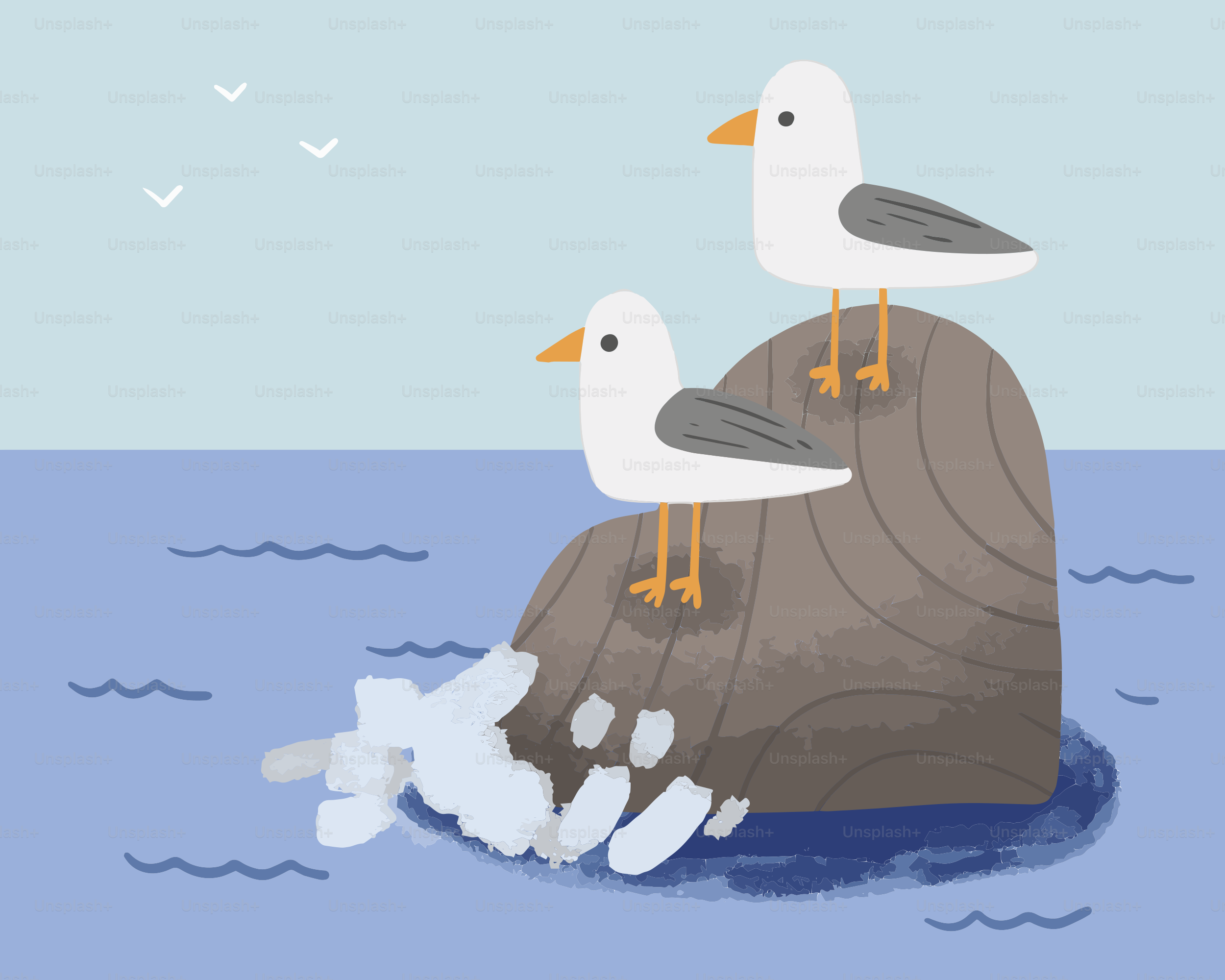 Two seagulls sitting on top of a rock in the ocean