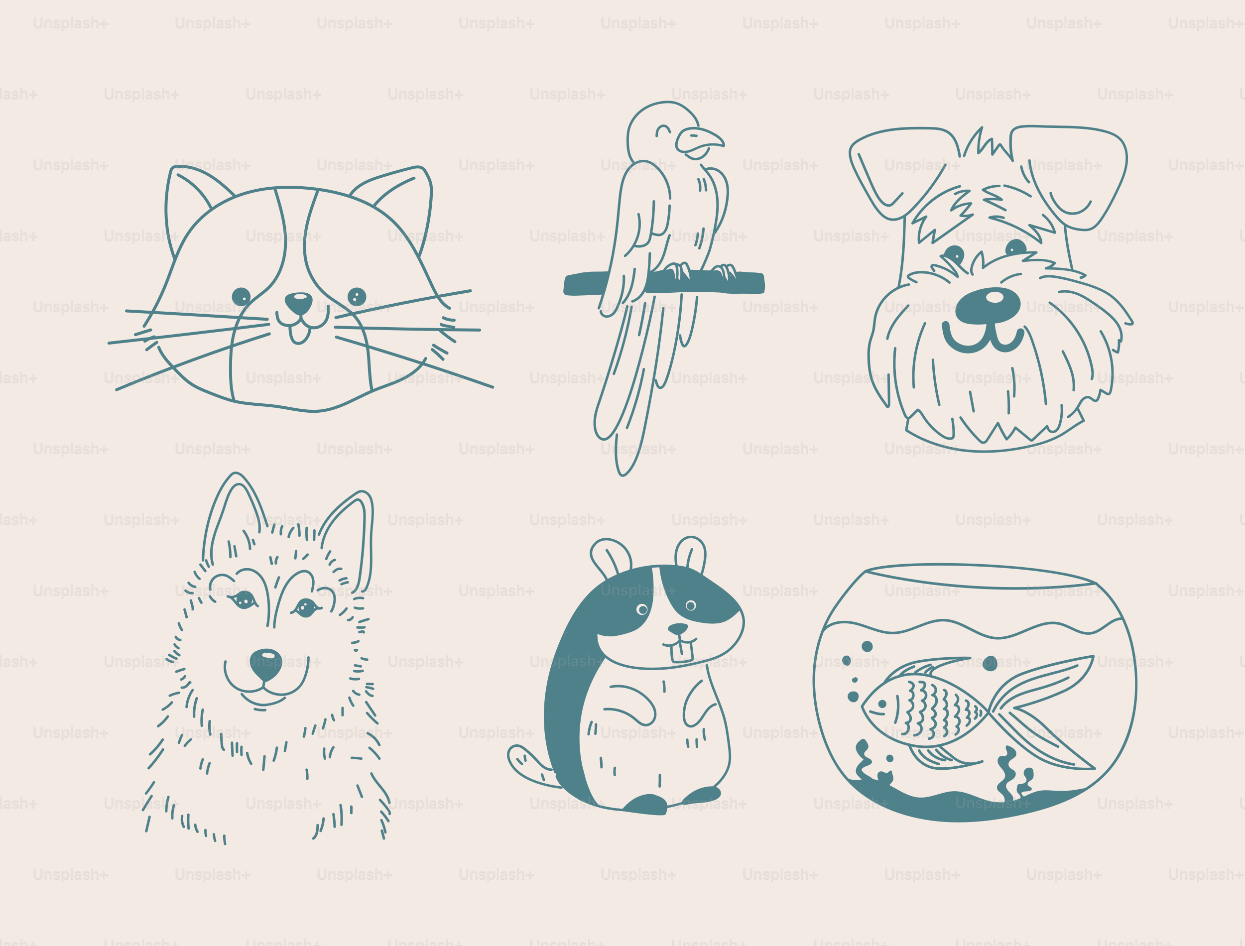 A picture of a cat, dog, fish, and bird