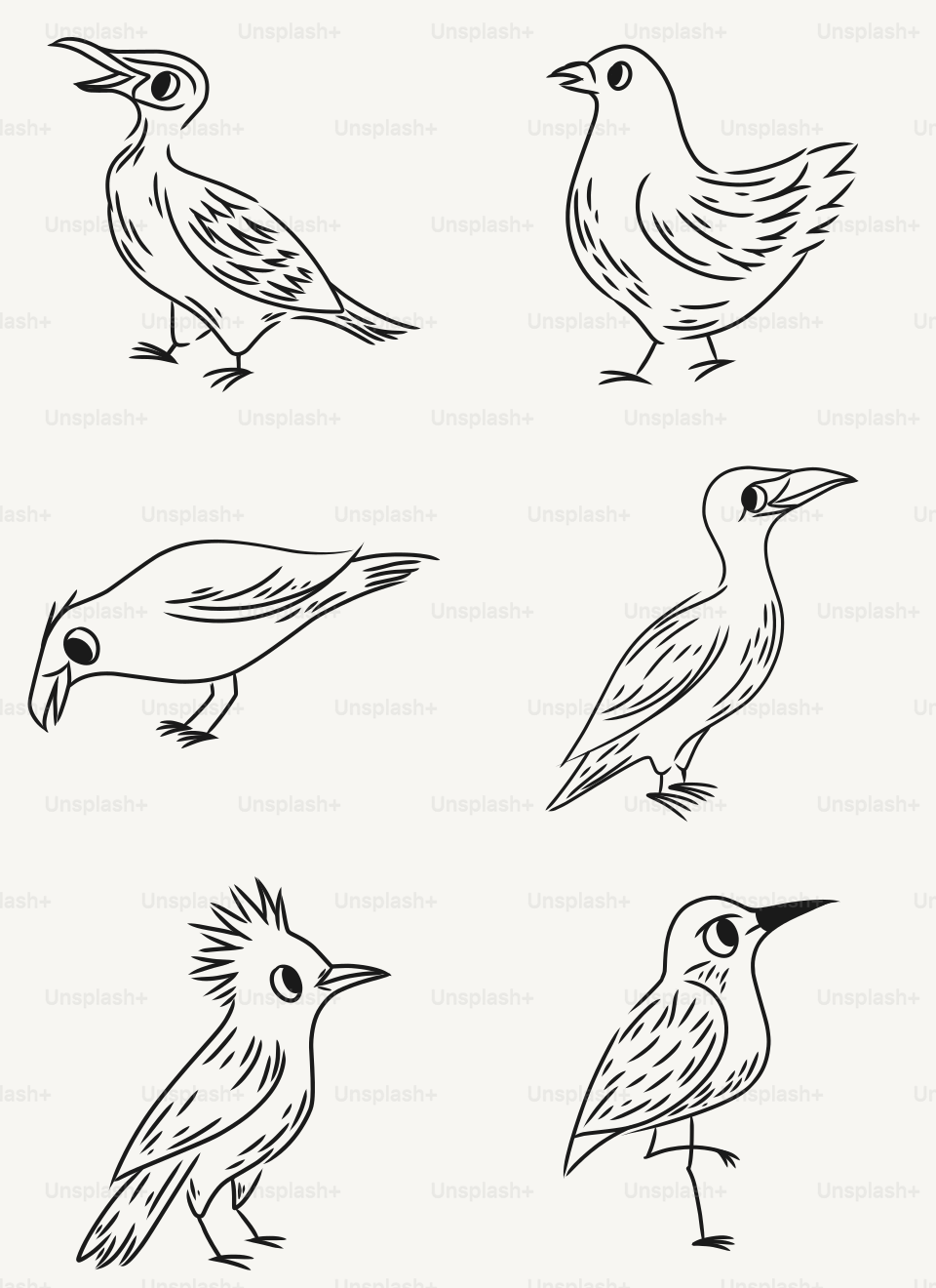 A set of nine birds with different beaks