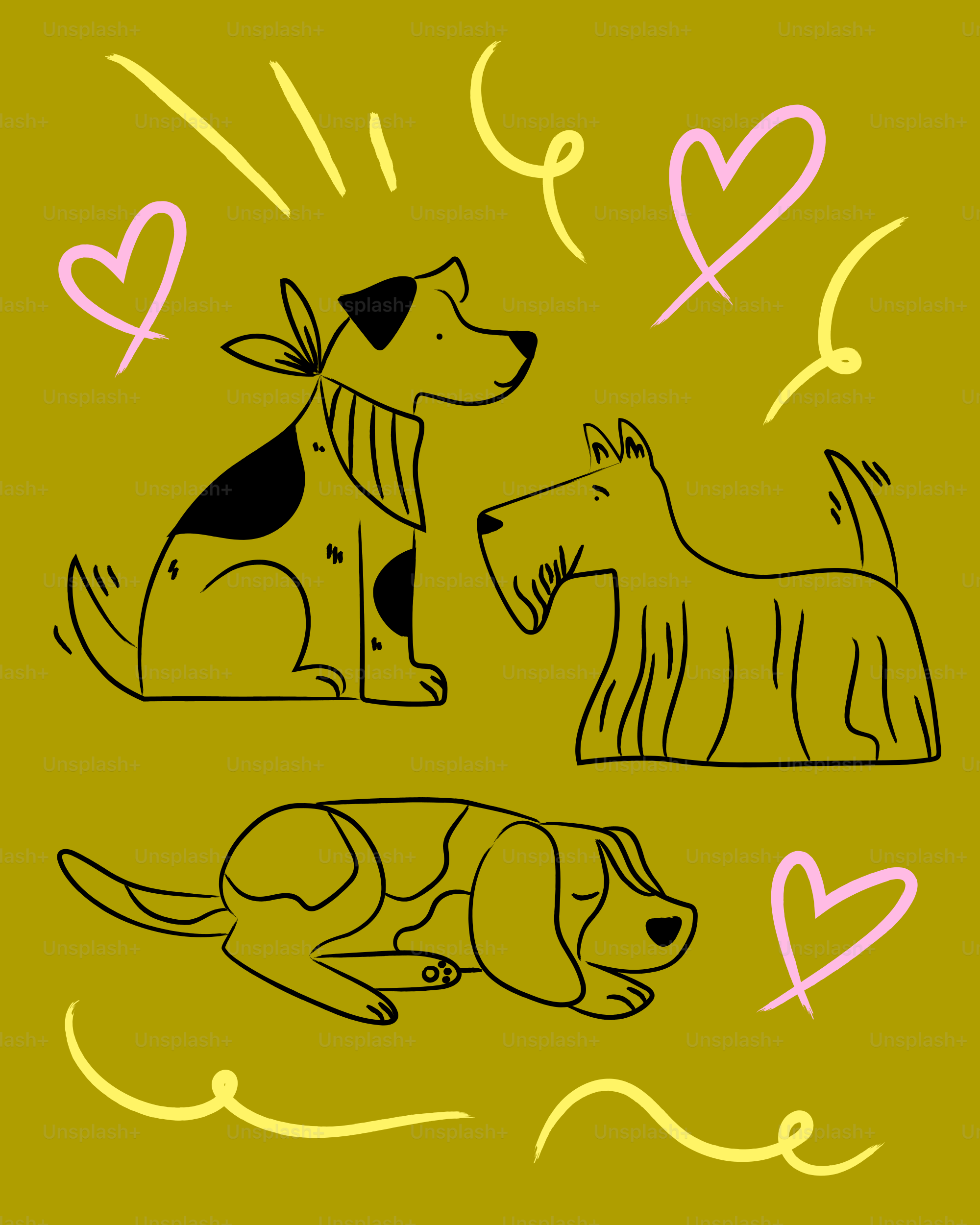Un cane e un gatto sono amici intimi. vettoriale – Immagine di Gatto su  Unsplash, image size:3000x3750