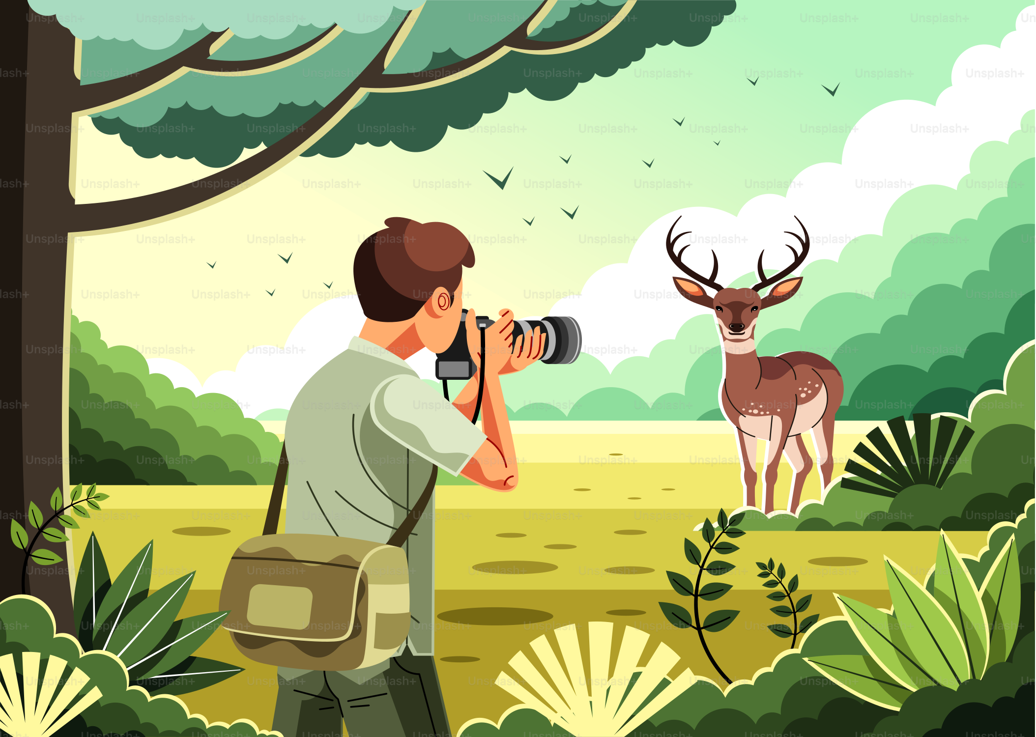 A man is taking a picture of a deer