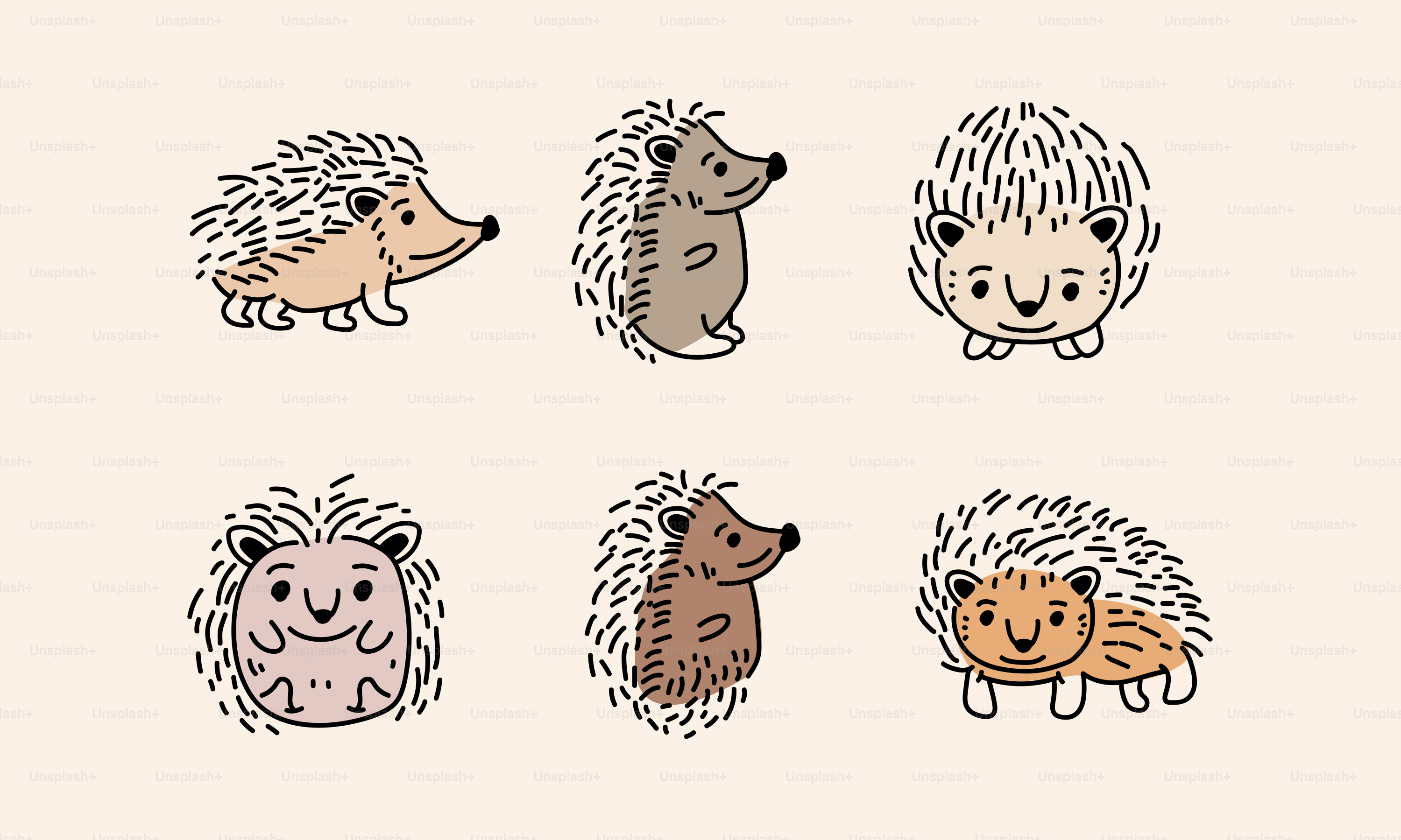 Un groupe de hérissons de différentes couleurs et tailles