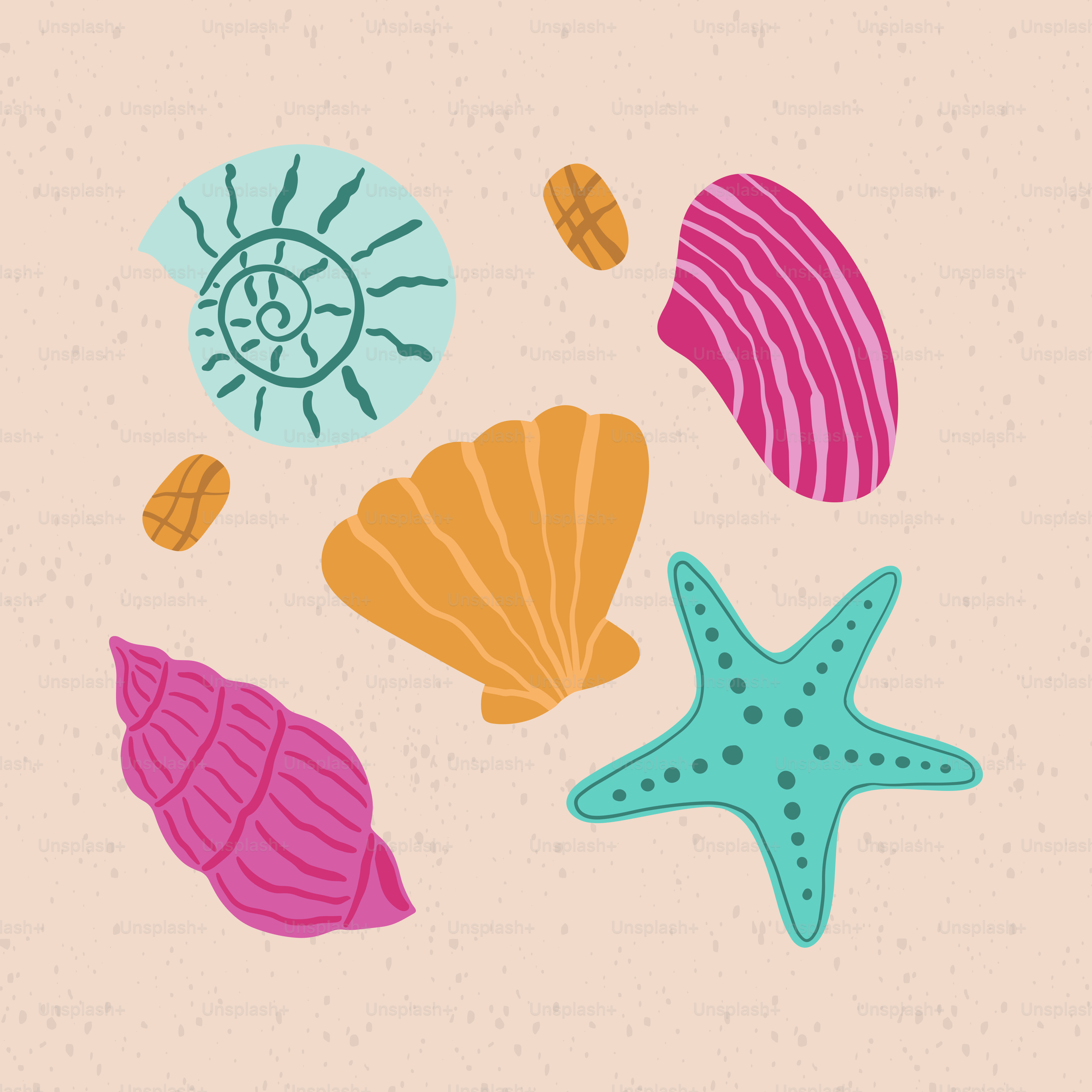 A group of sea shells and starfish on a pink background