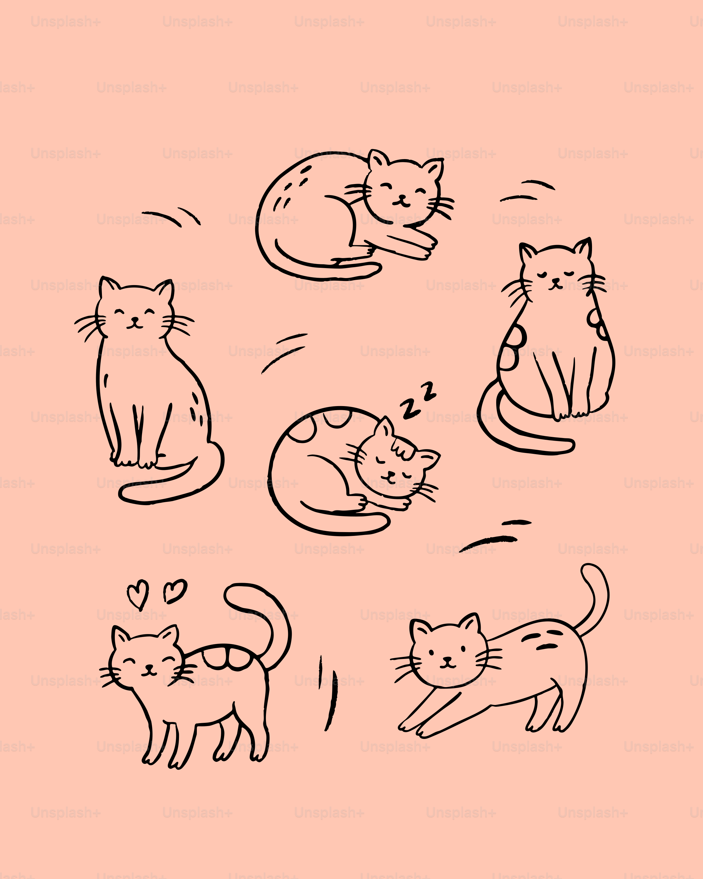 A bunch of cats that are on a pink background