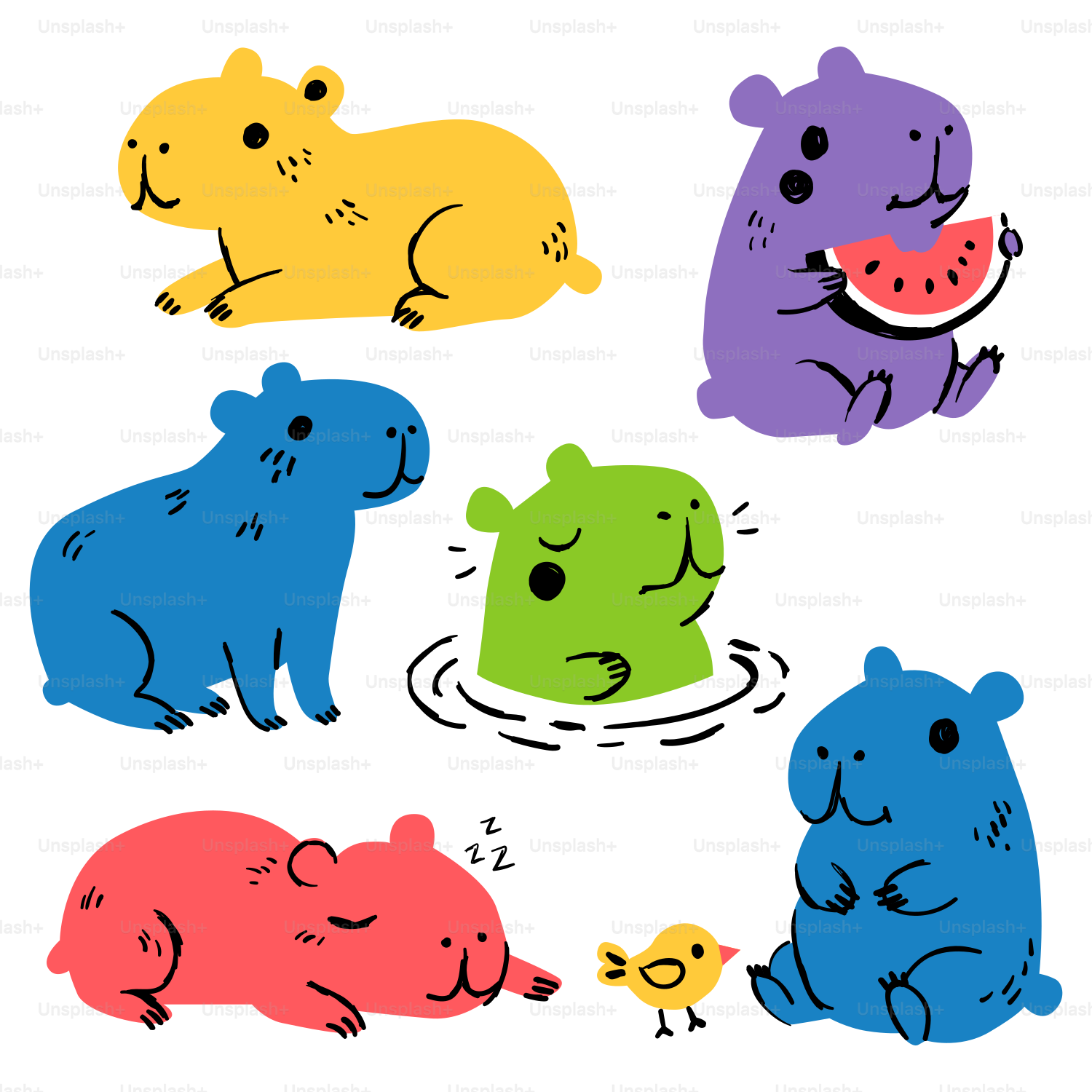 A group of hippos with watermelon in their mouths