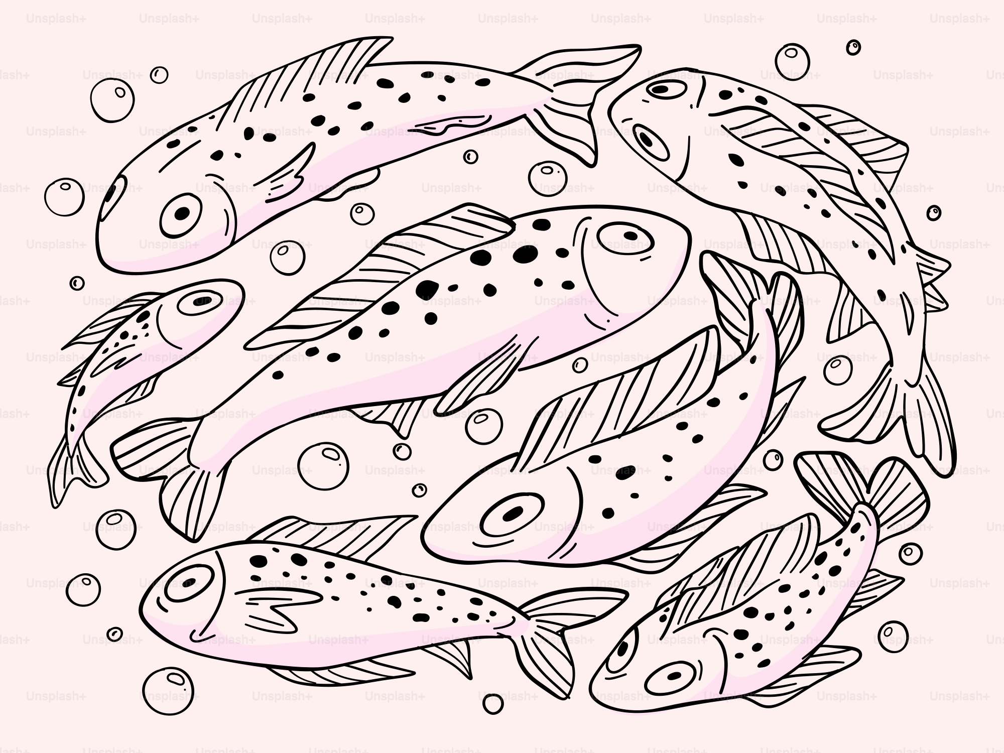 A drawing of a bunch of fish in a circle