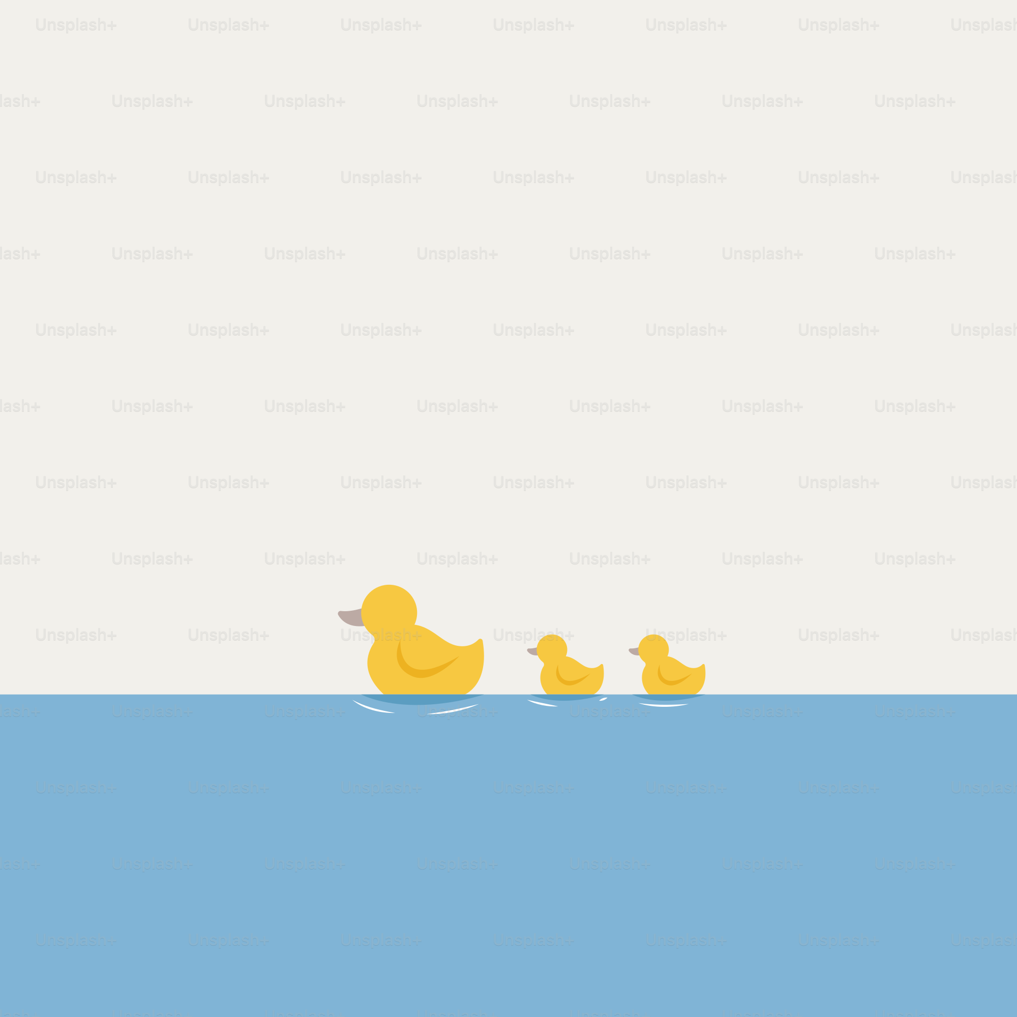 Ein paar Enten, die auf einem Gewässer treiben