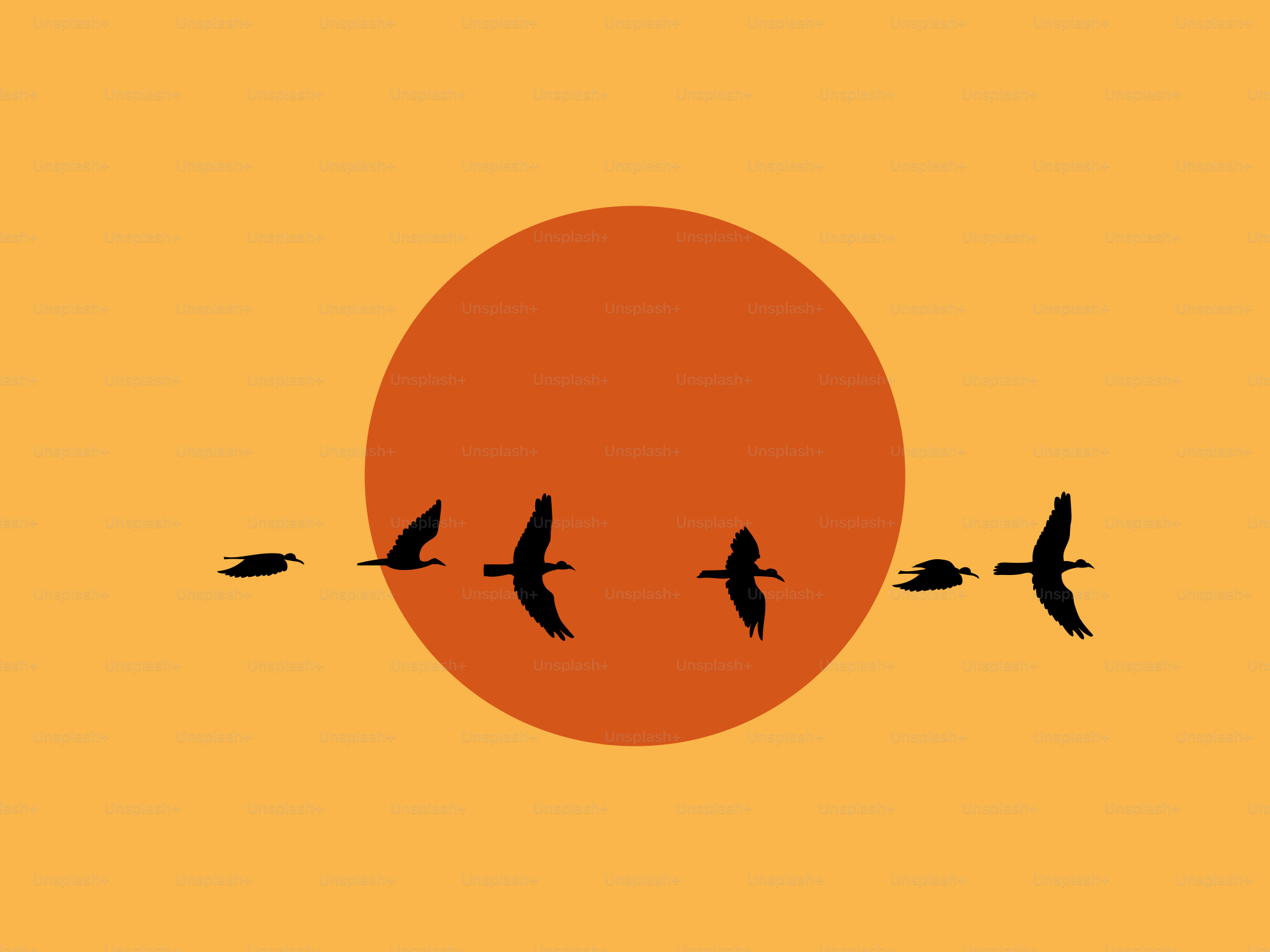 Una bandada de pájaros volando por un cielo amarillo