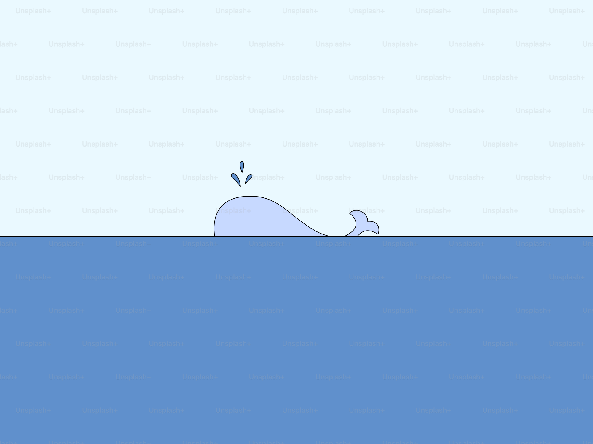 A picture of a whale in the water