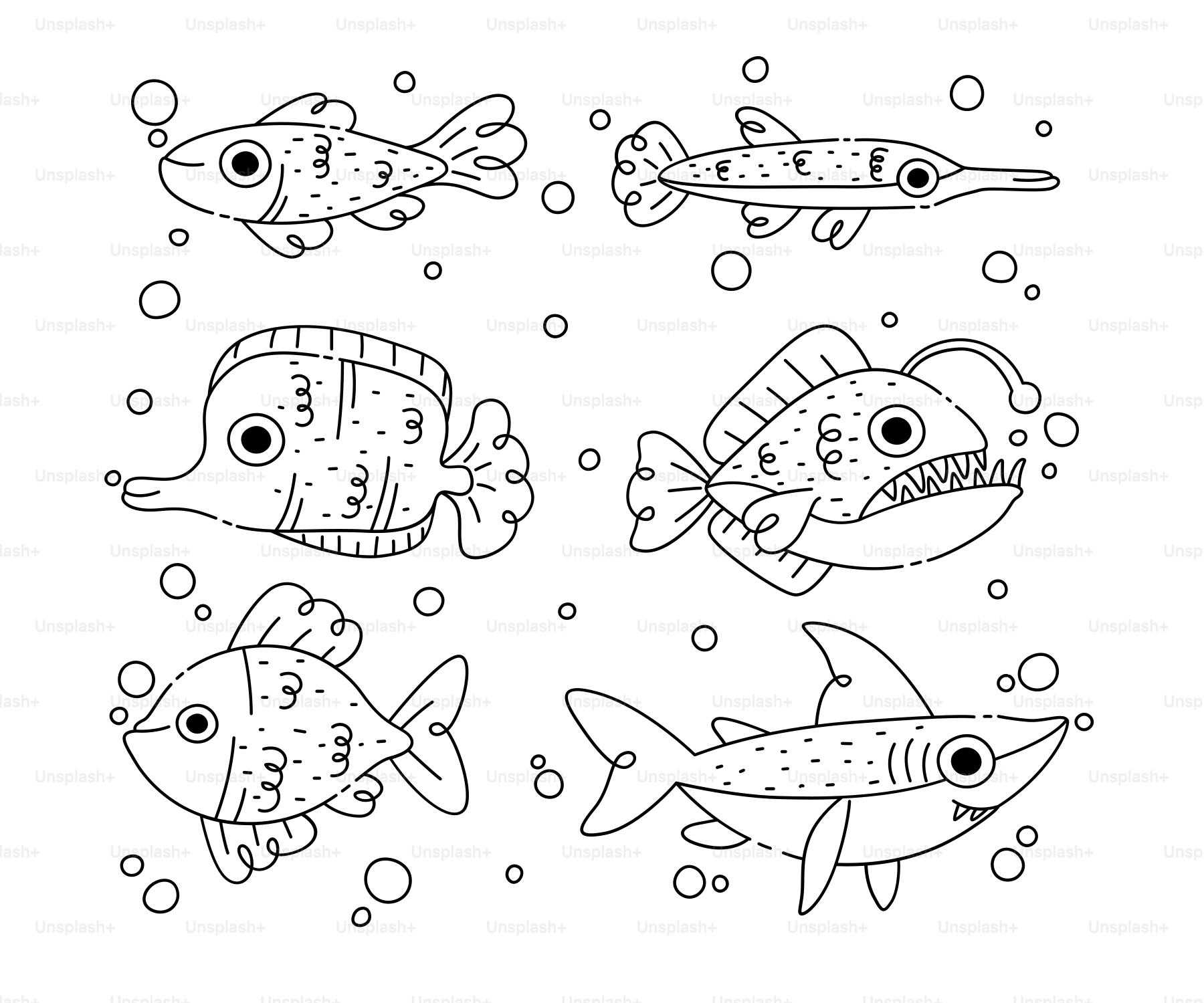 A drawing of four different types of fish