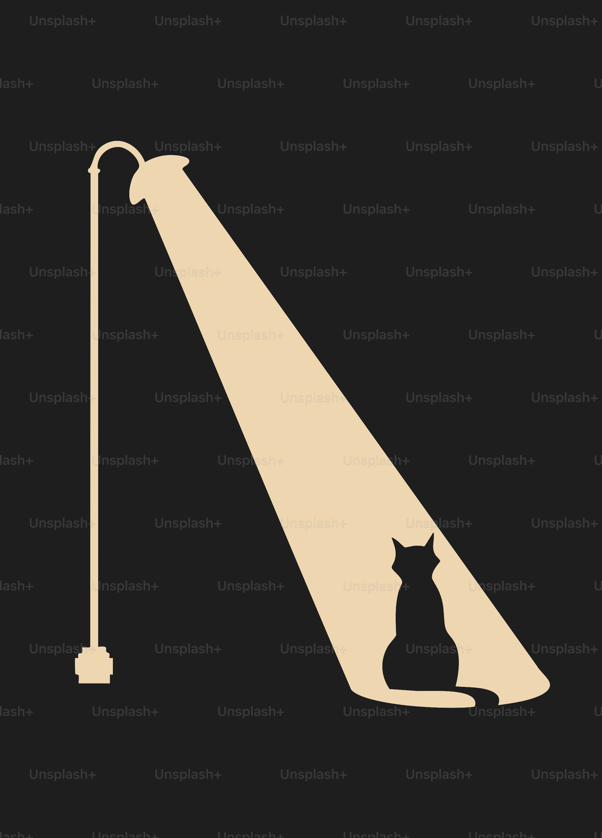 A cat sitting under a lamp on a black background