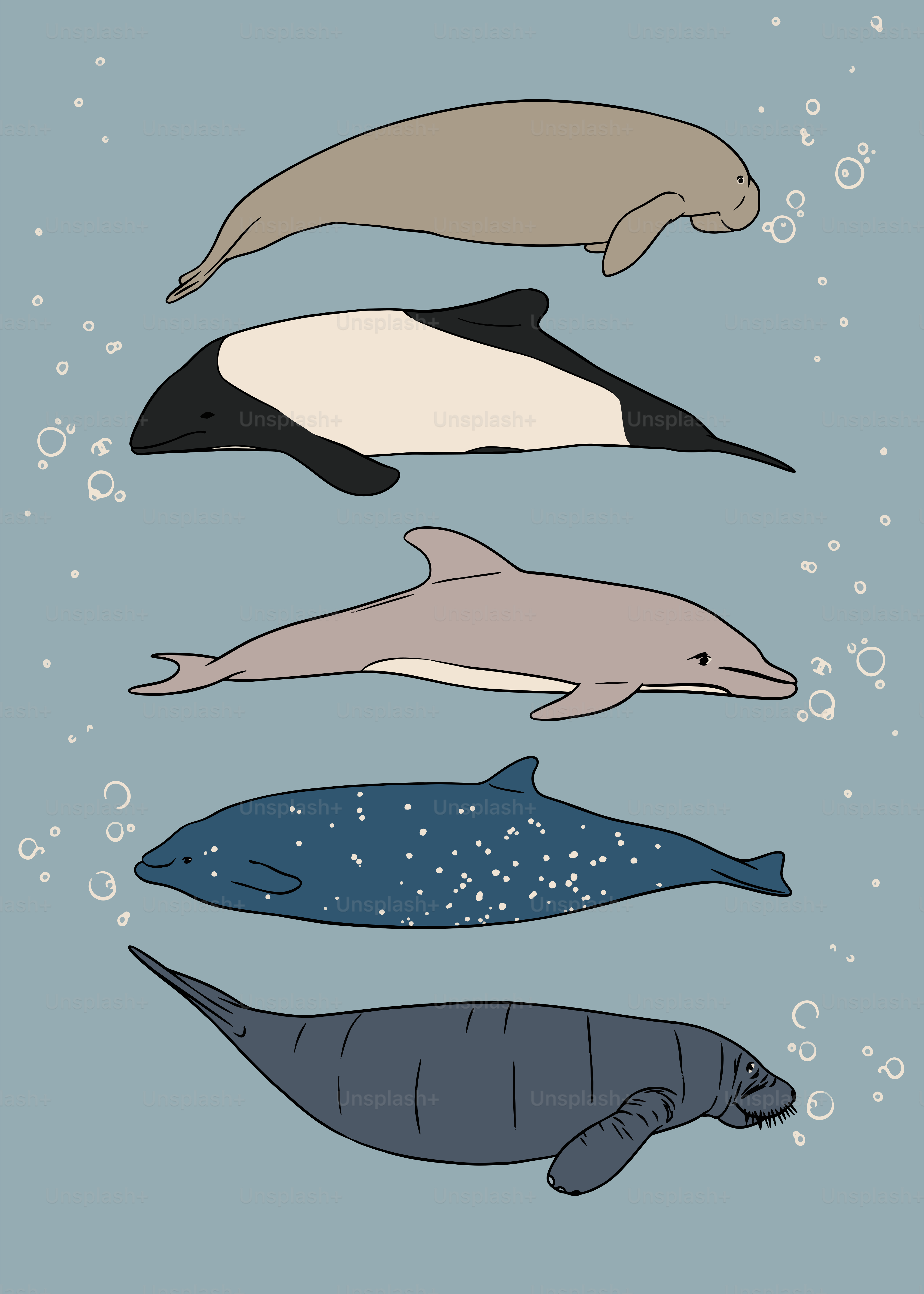 Eine Gruppe von Meerestieren, die im Ozean schwimmen