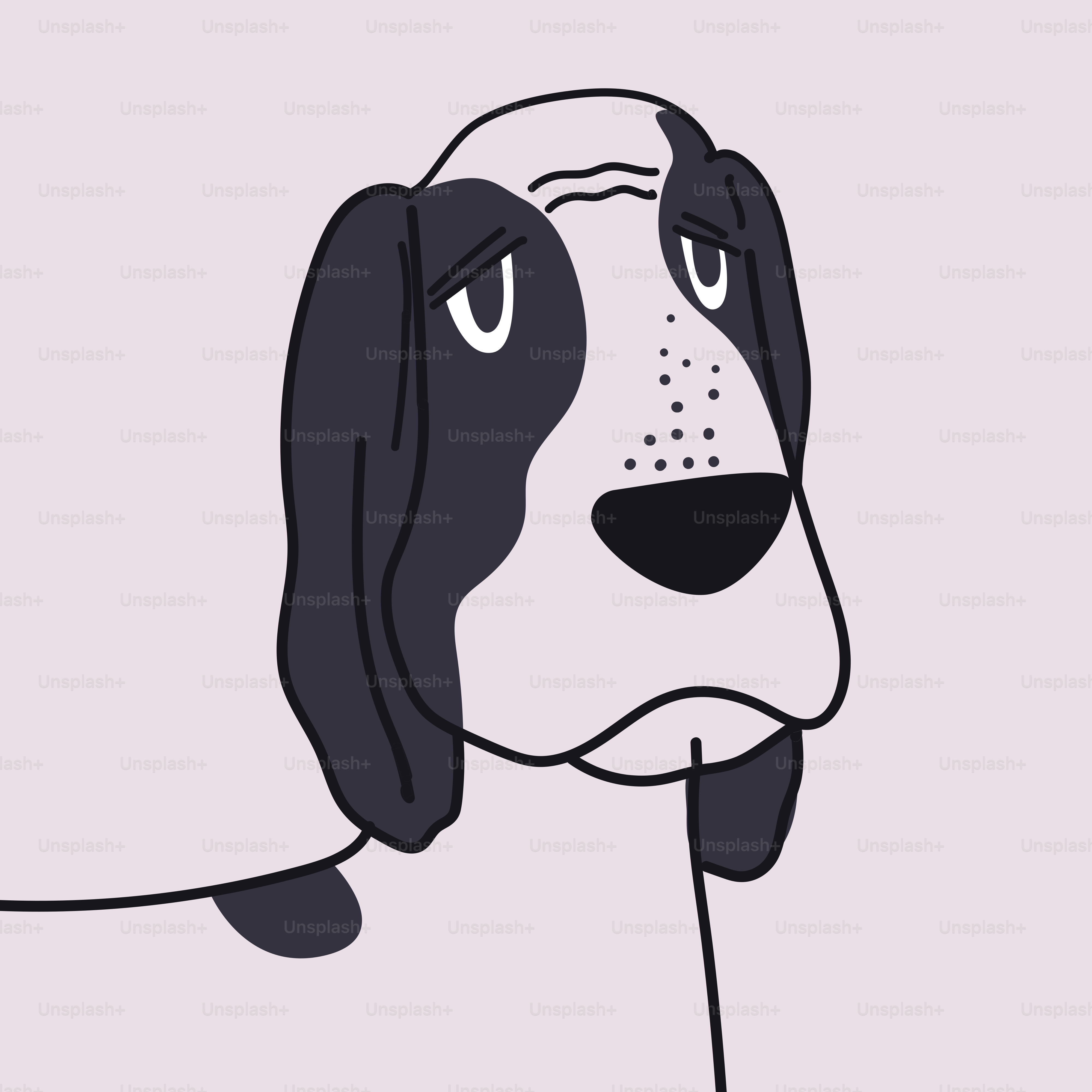 Um cachorro preto e branco com um olhar triste no rosto