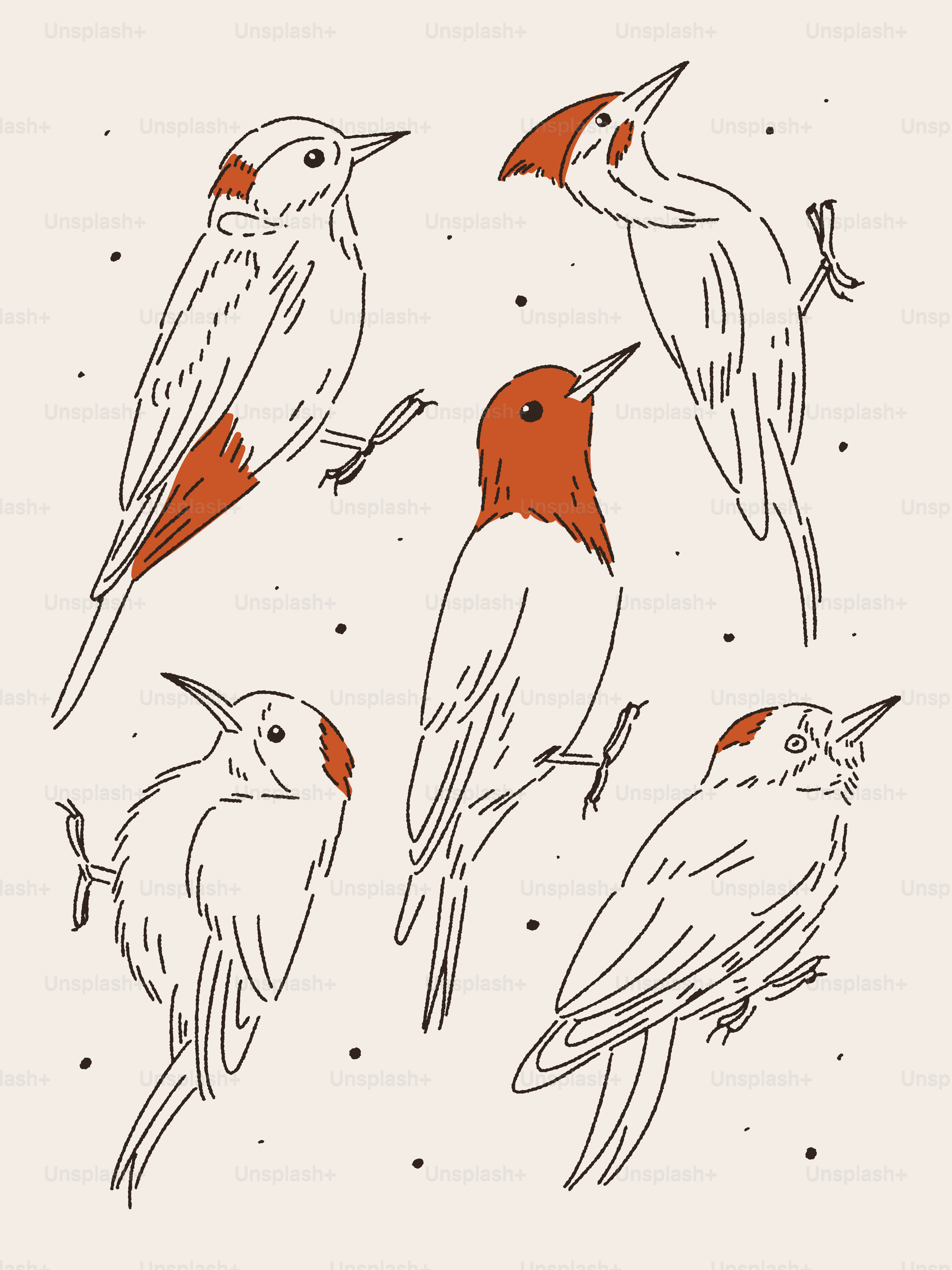 A group of birds sitting on top of each other