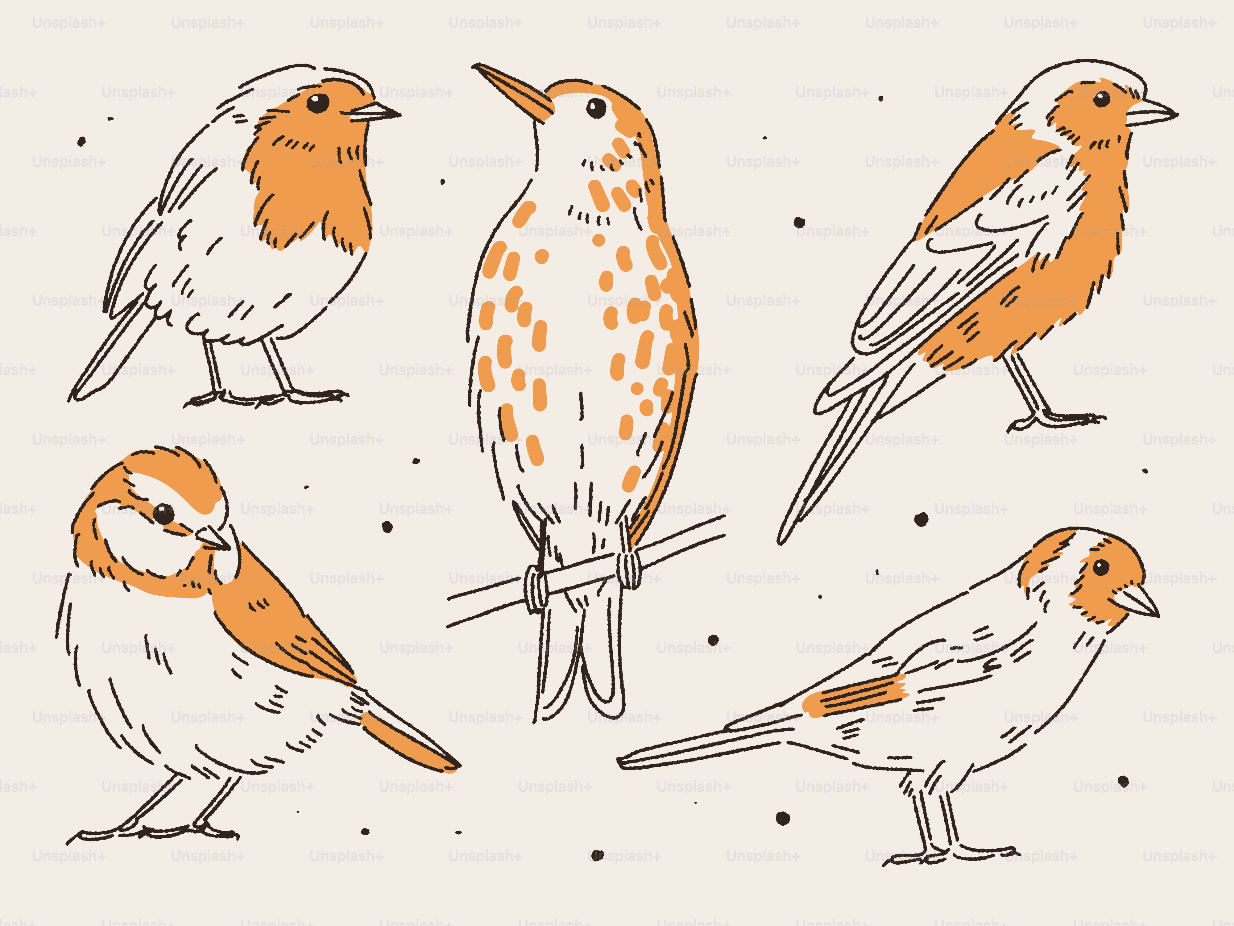 A group of birds sitting on top of each other