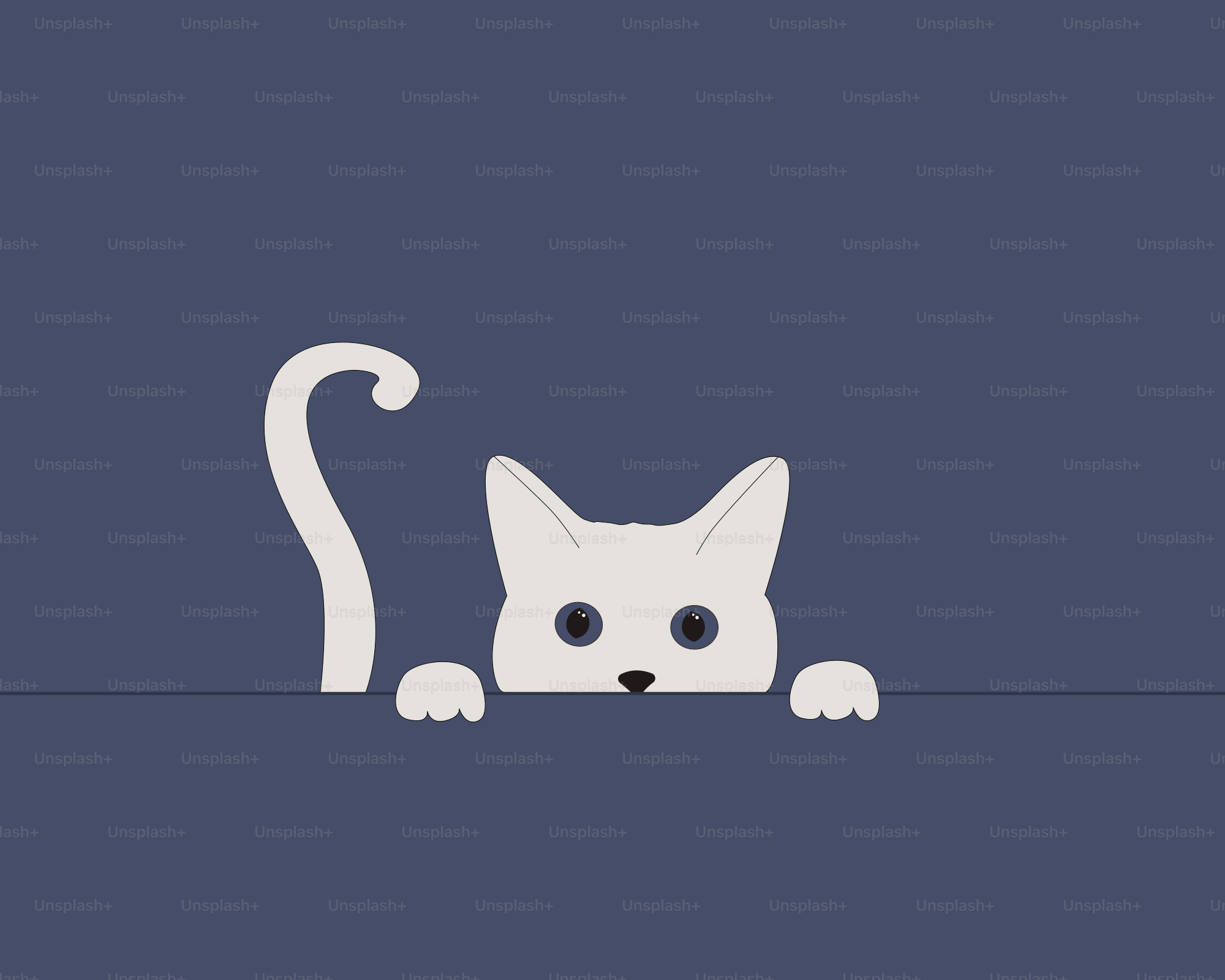 Um gato branco espiando por trás de uma parede azul