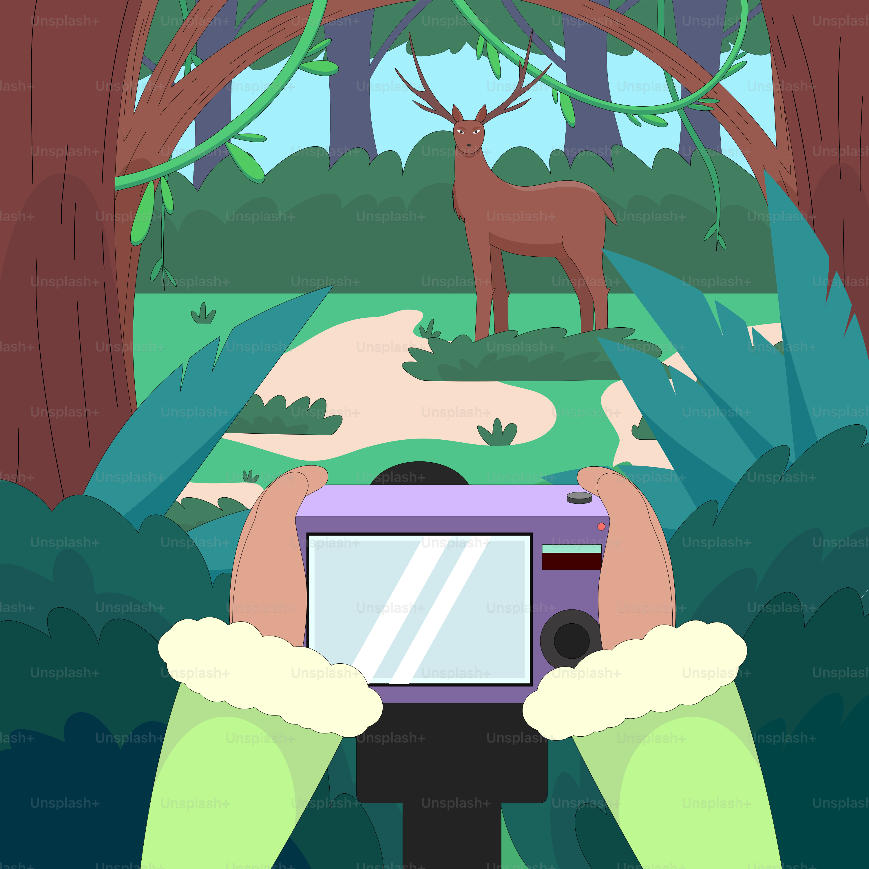 A person taking a picture of a deer in the woods