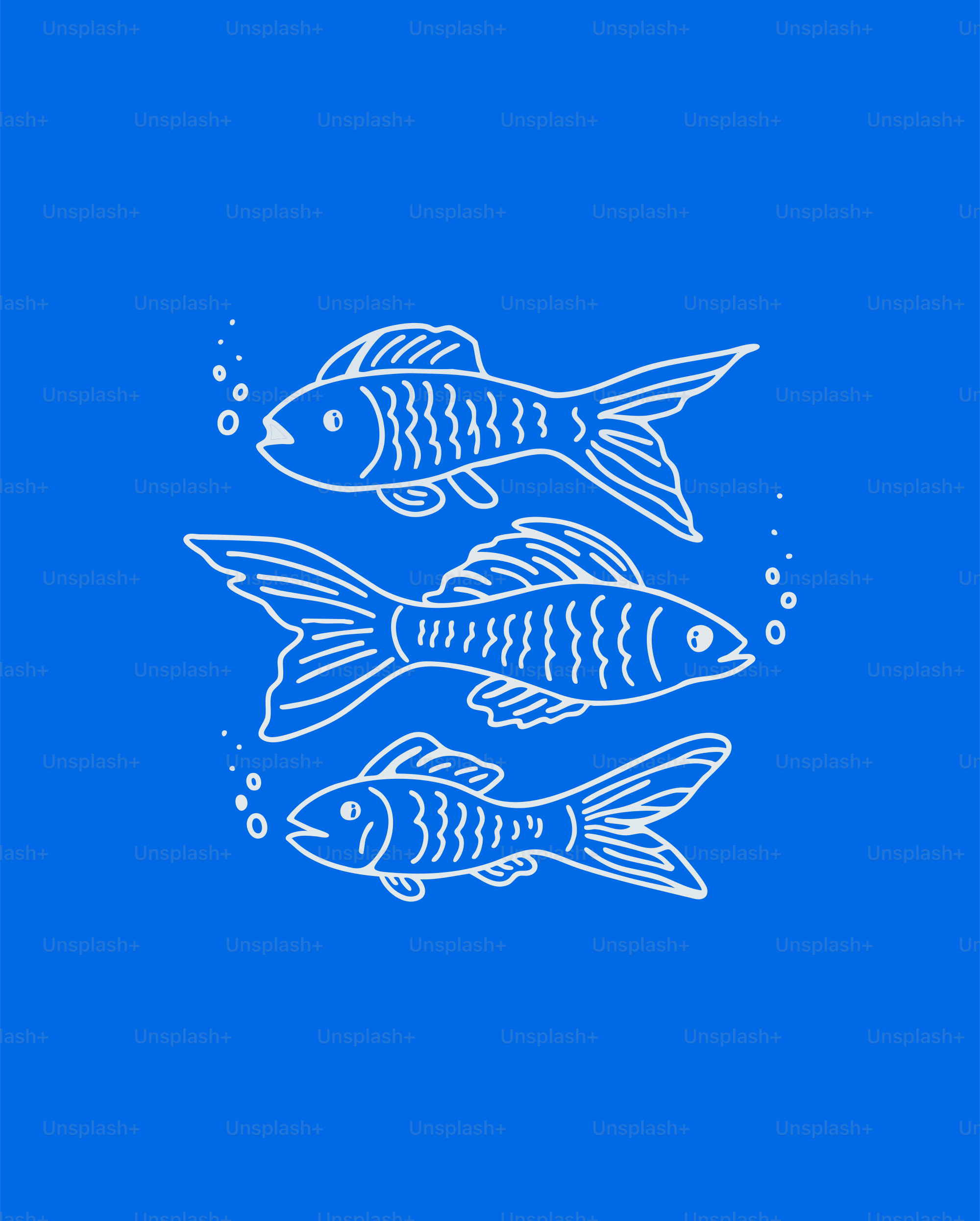 Three fish swimming in the water on a blue background