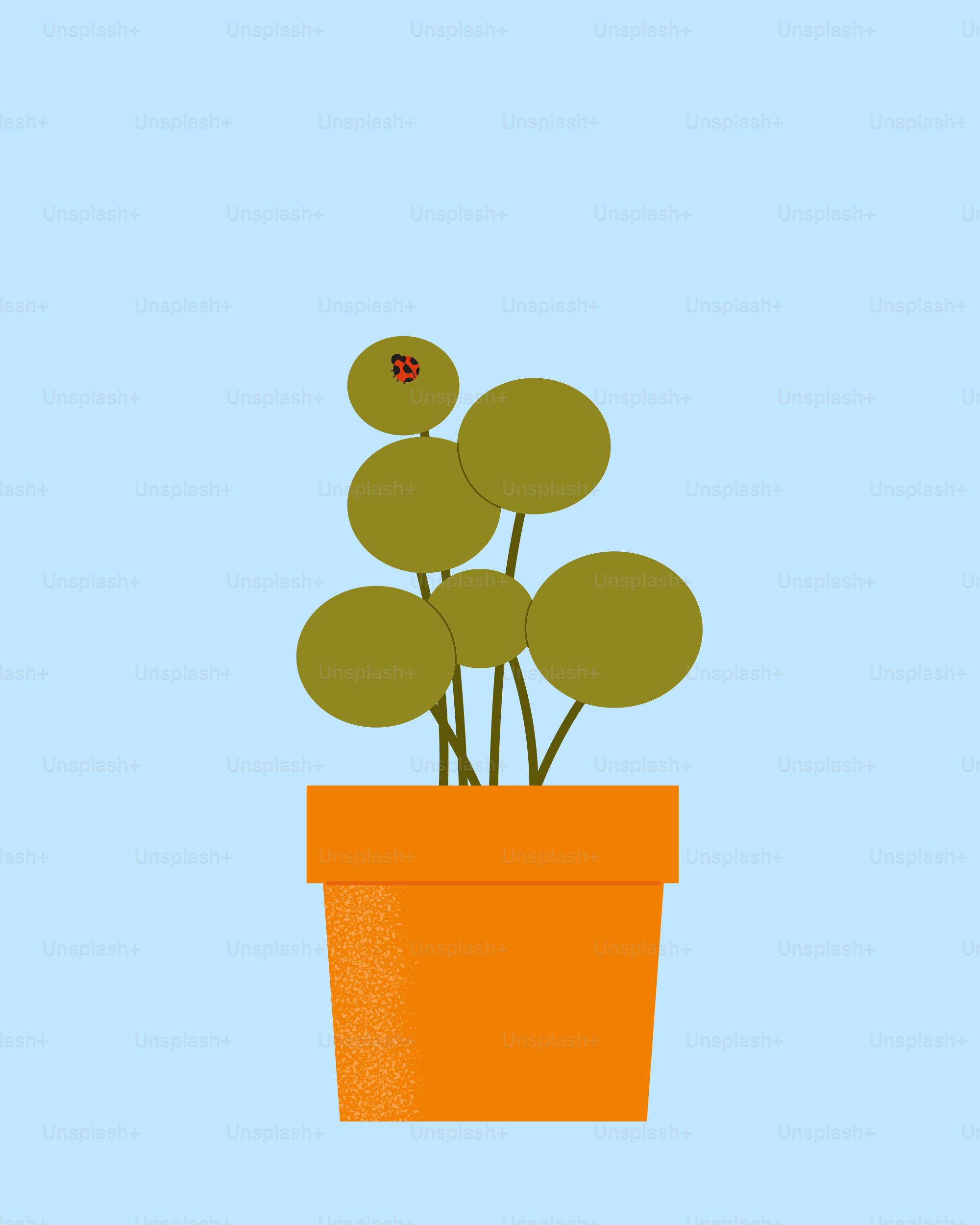 A potted plant with a lady bug on it