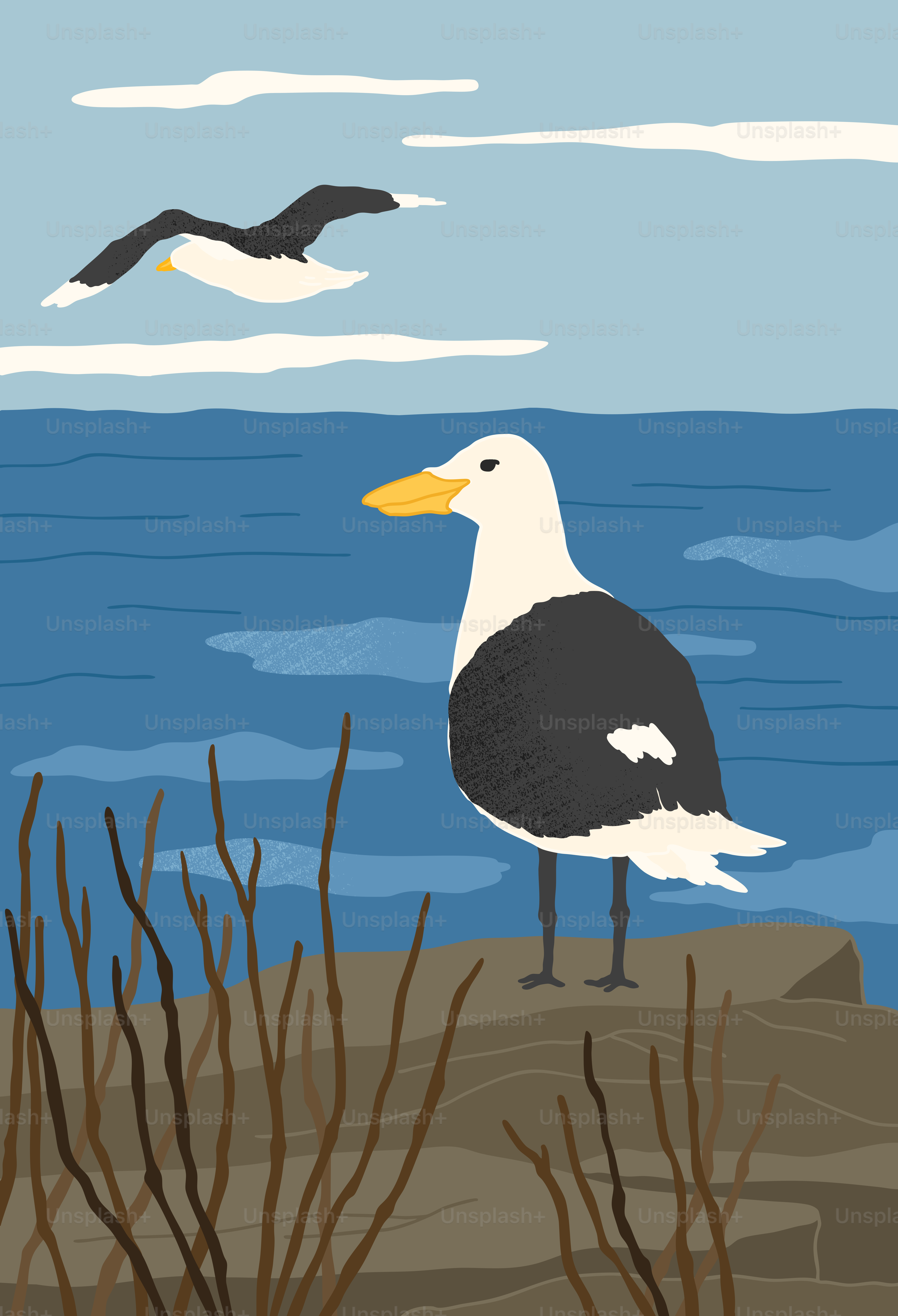 A seagull is standing on a rock near the ocean